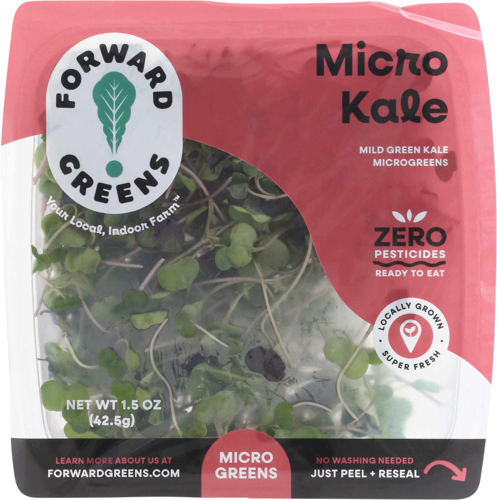 Micro Kale