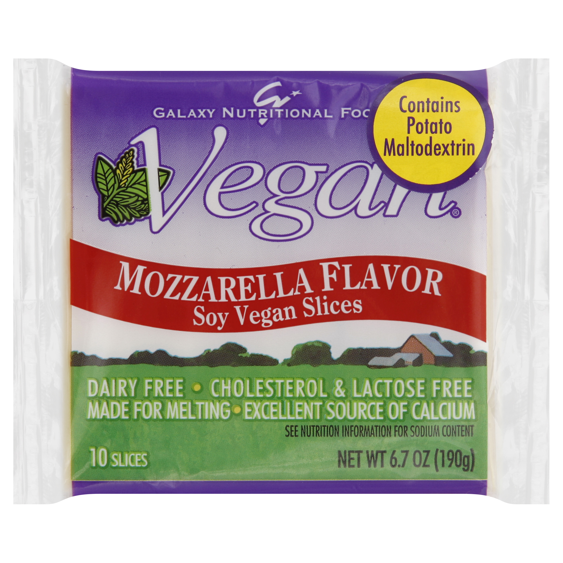 Galaxy Nutritional Foods Soy Slices 10 Ea