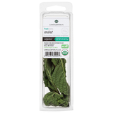Lunds & Byerlys Fresh Herbs Organic Mint 0.25 Oz image