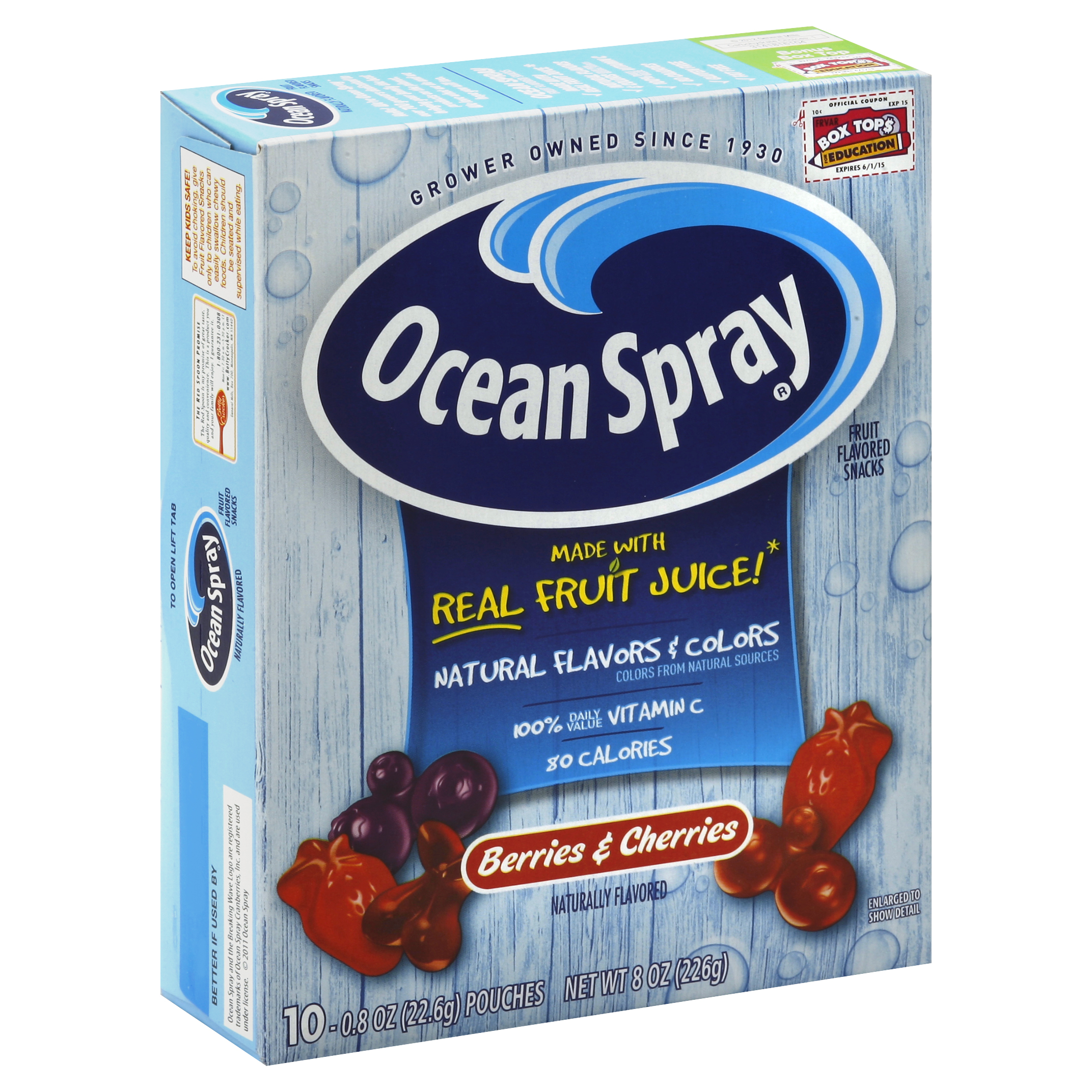 Ocean Spray Fruit Flavored Snacks 10 Ea
