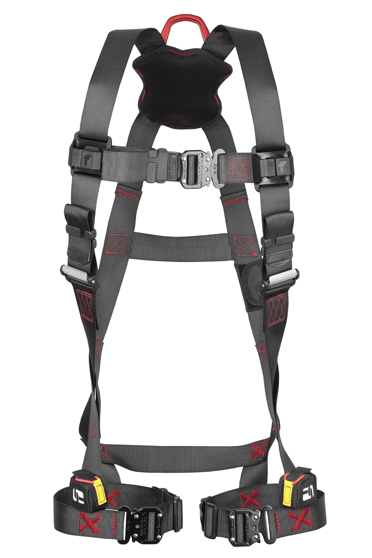 FRONT VIEW STRAIGHT ON_IMAGE