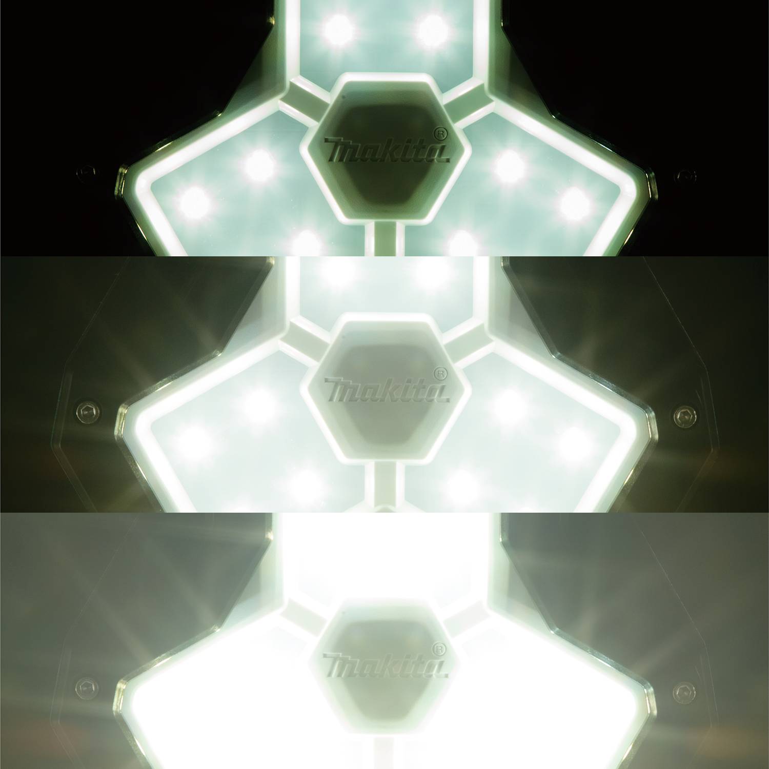 BOTTOM VIEW_IMAGE