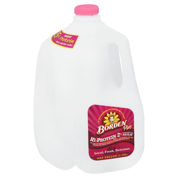 Borden Milk 1 Gl