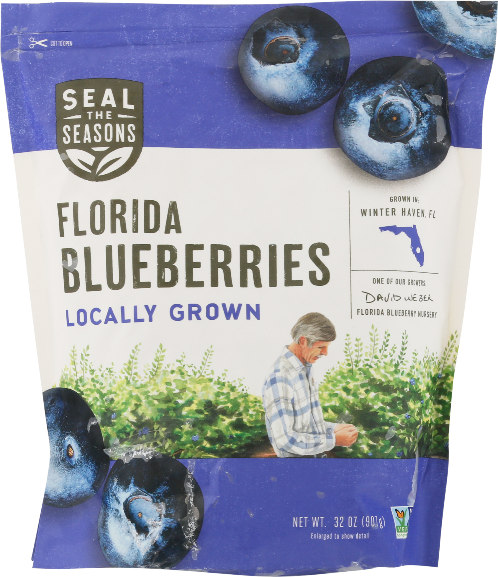 Blueberries, Florida