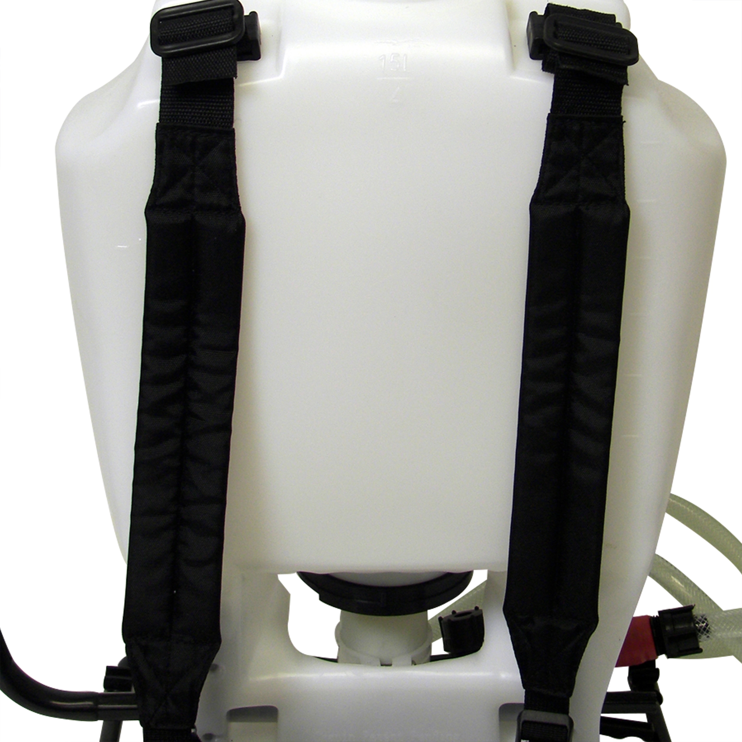BACK VIEW_IMAGE