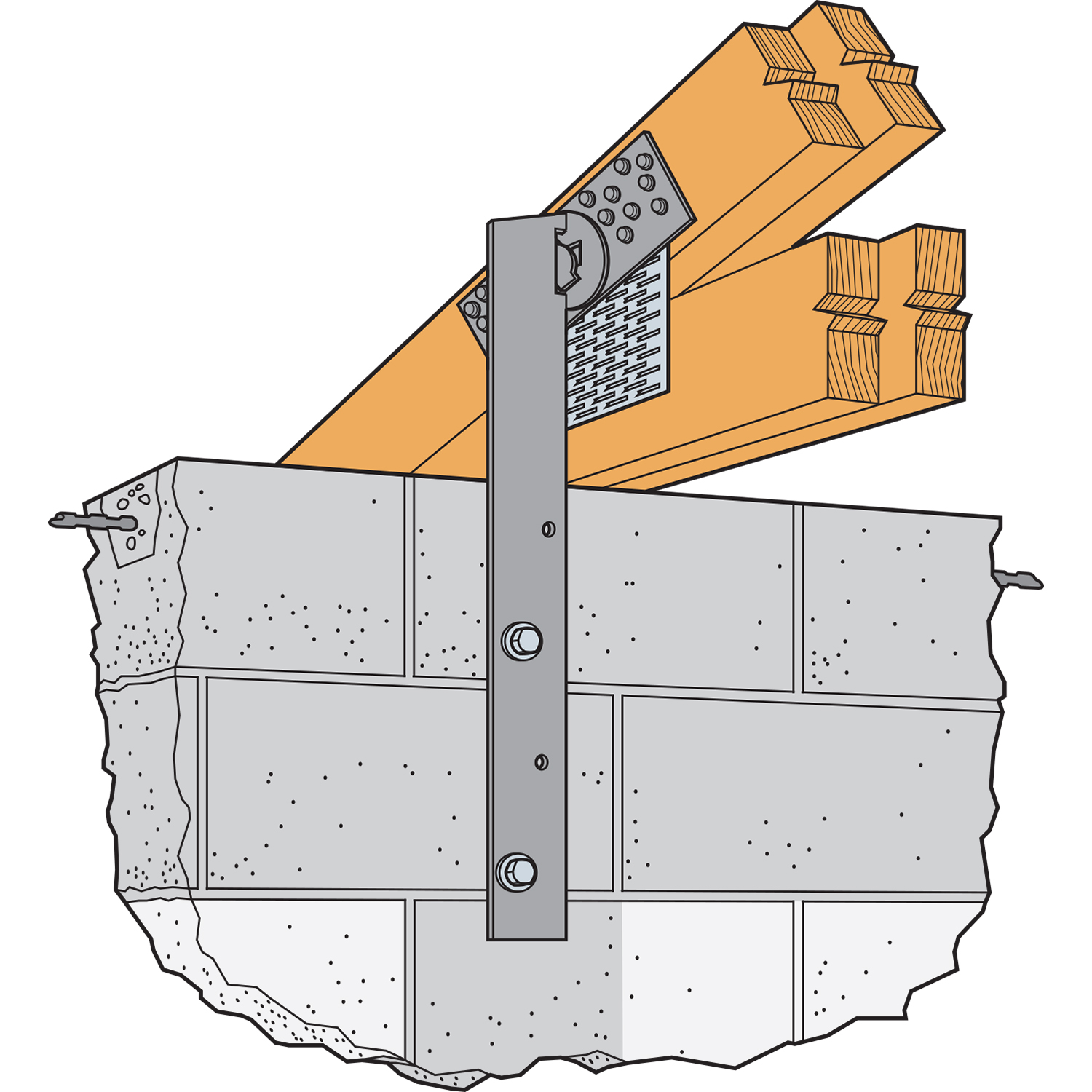 ALTERNATE_IMAGE