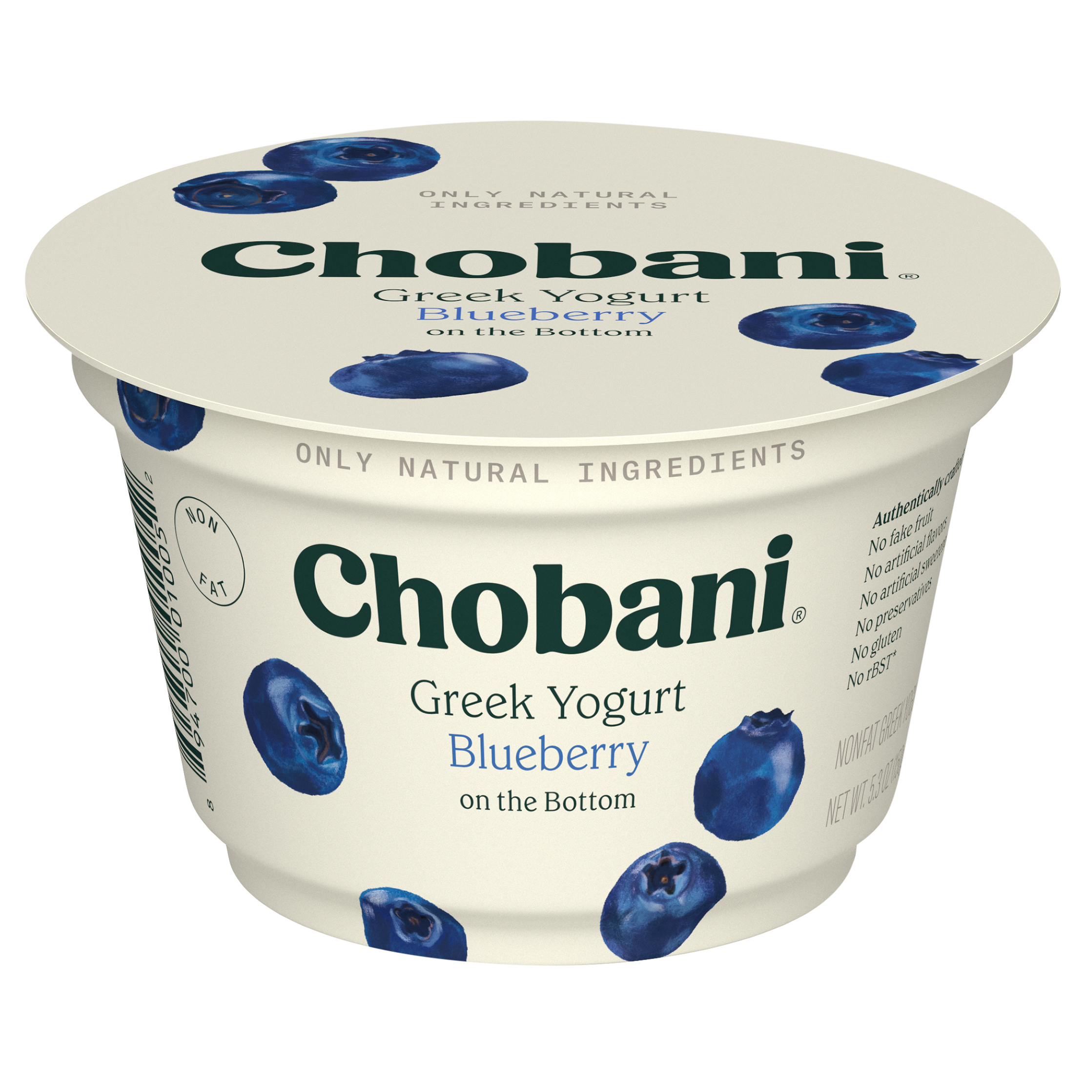 Yogurt, Greek, Nonfat, Blueberry on the Bottom