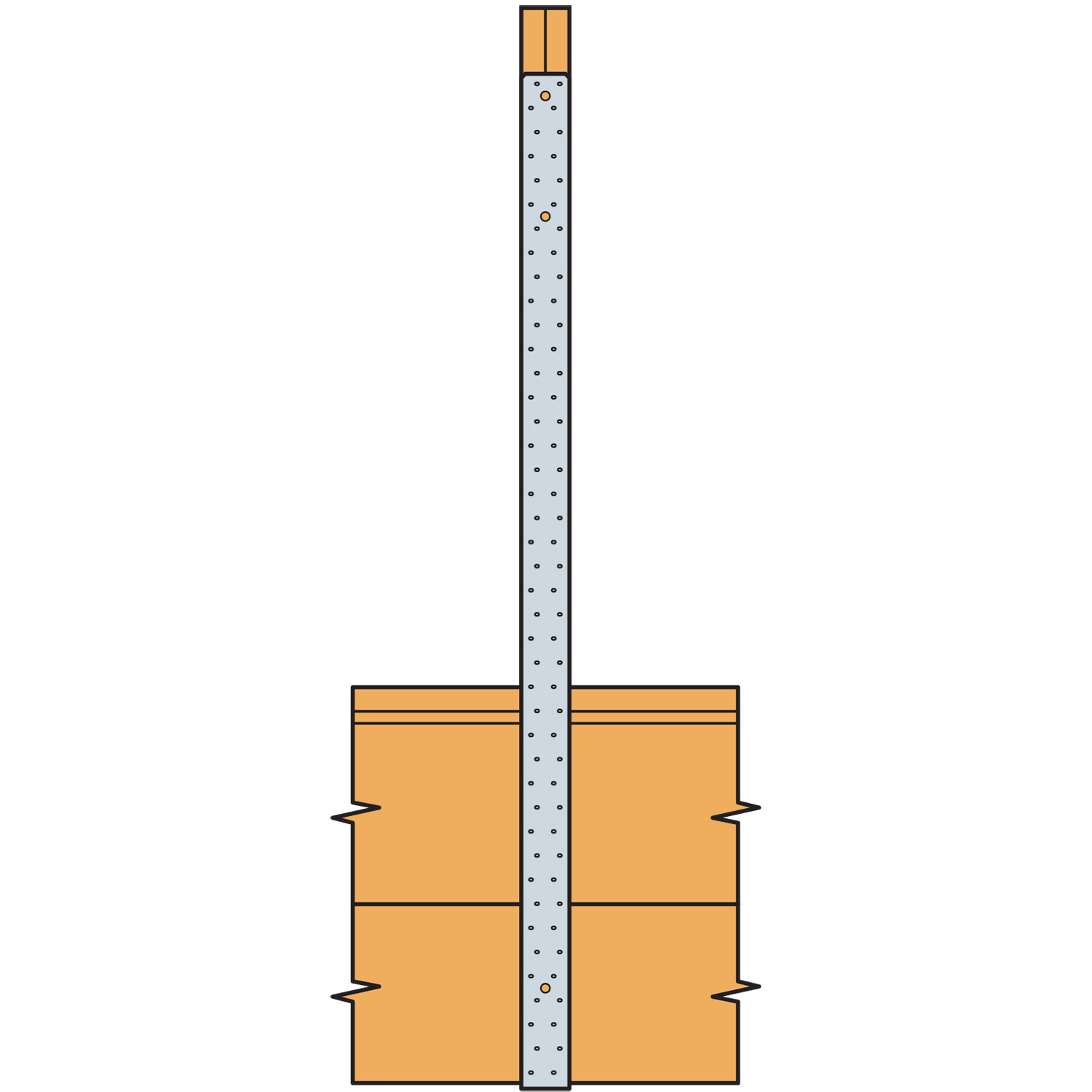 ALTERNATE_IMAGE