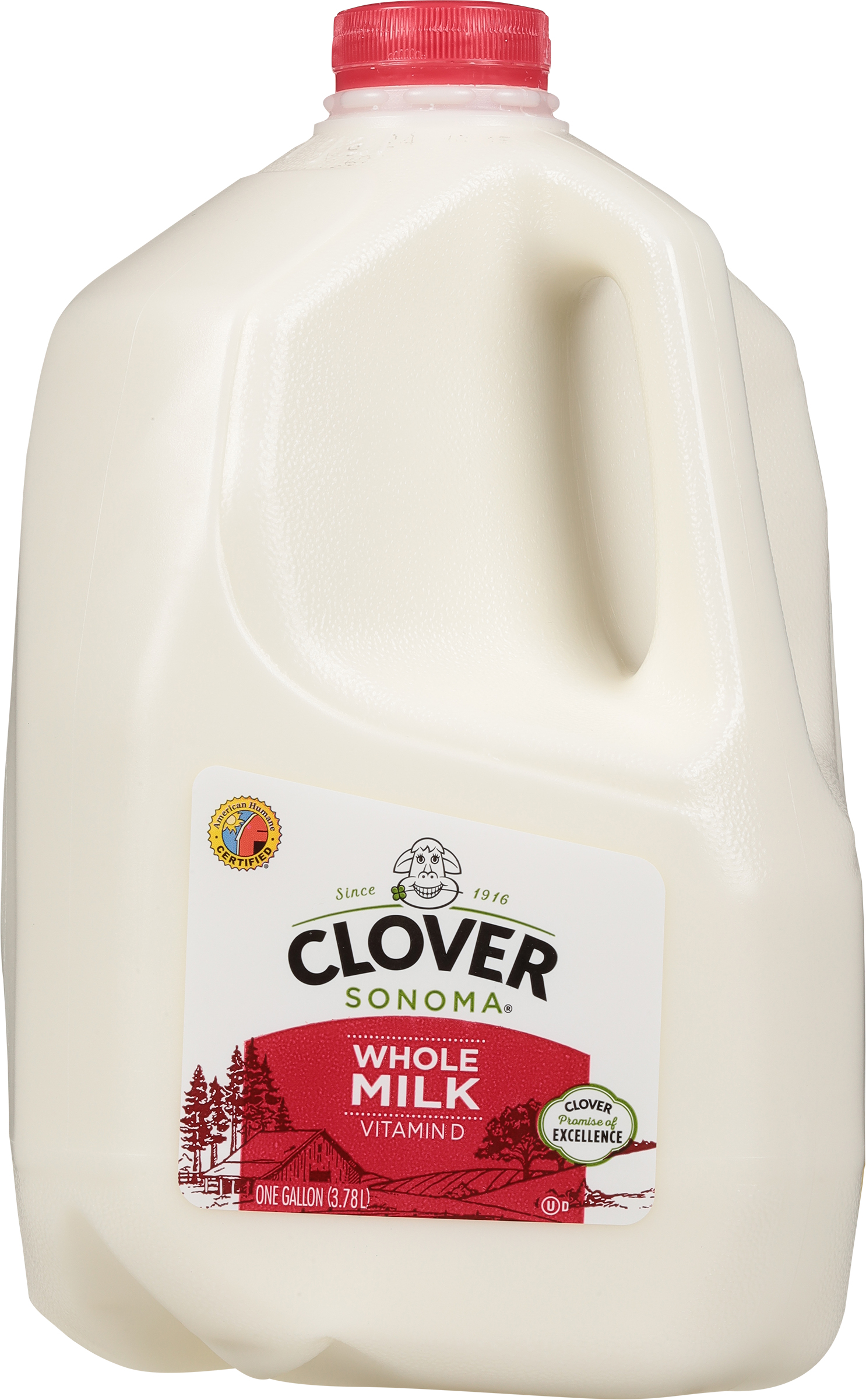 Whole Milk, Vitamin D