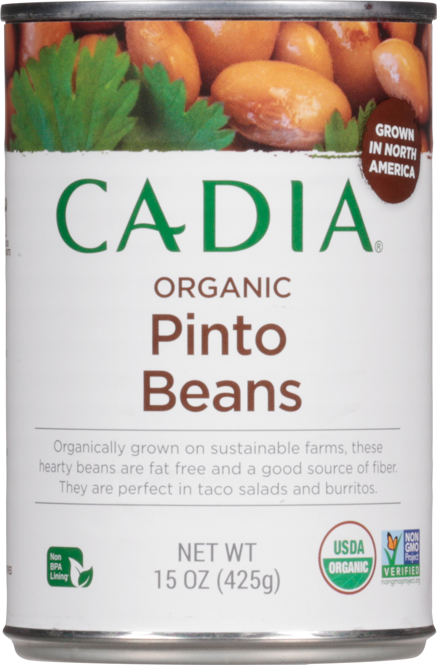 Pinto Beans, Organic