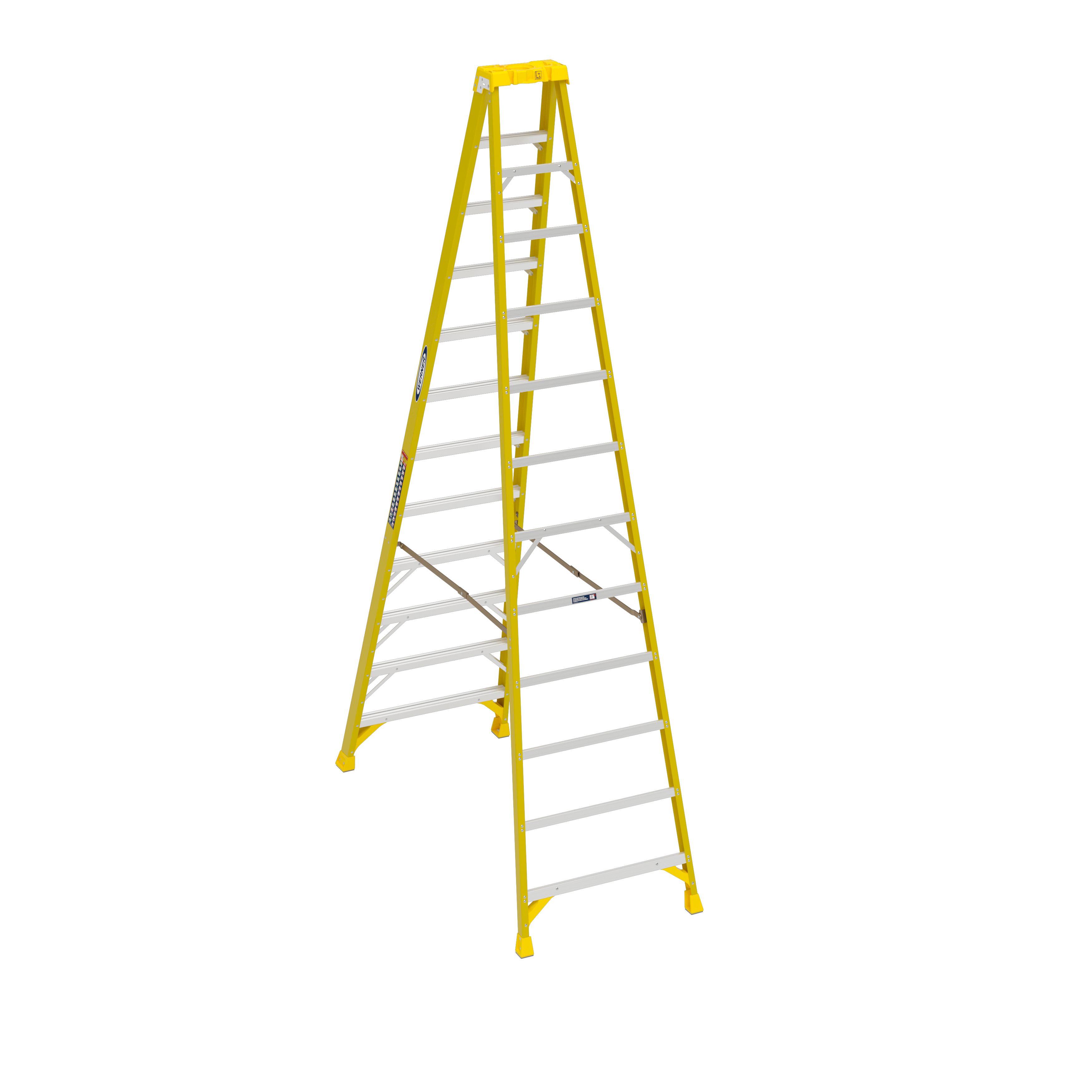 BACK VIEW_IMAGE