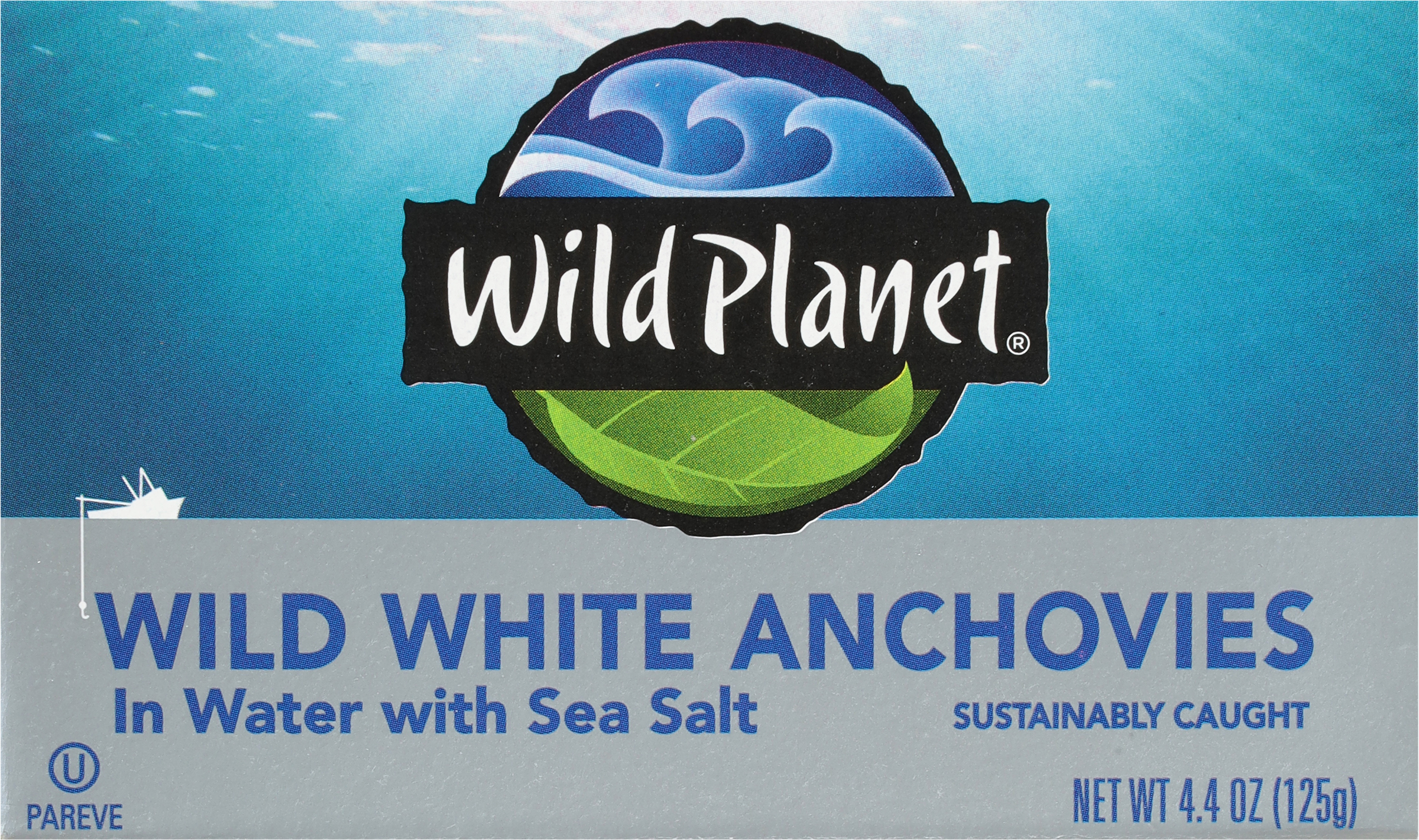 Wild White Anchovies