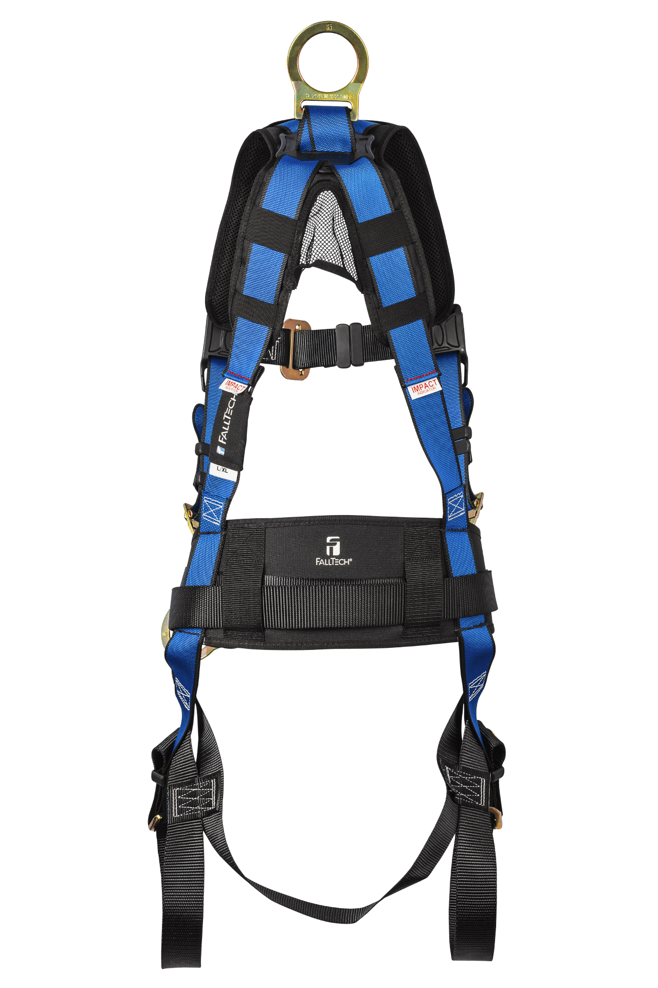 BACK VIEW_IMAGE
