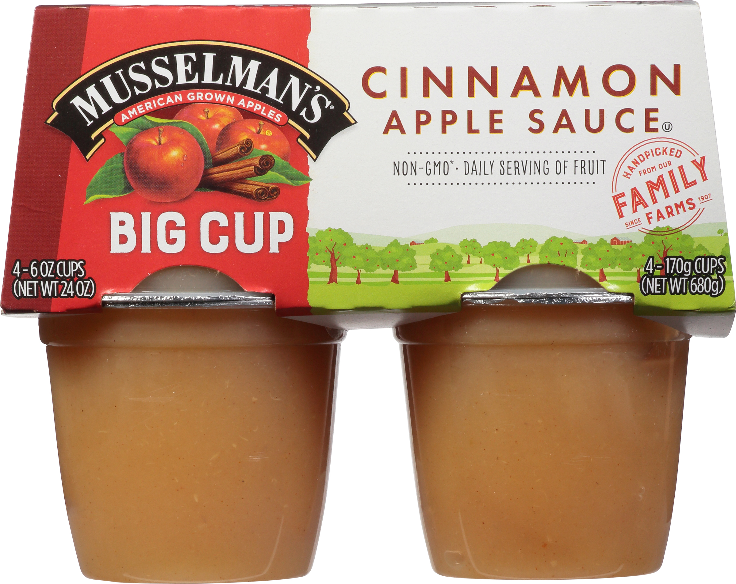 Apple Sauce, Cinnamon, Big Cup