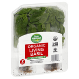Sun Harvest Value Pack Organic Living Basil 2 Ea image