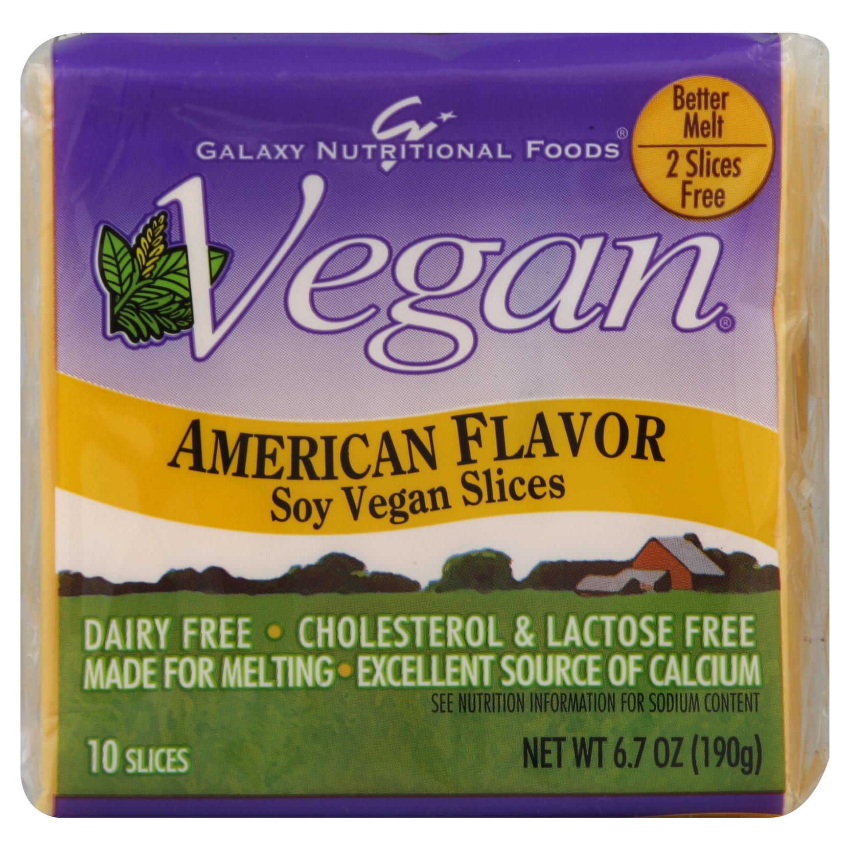 Galaxy Foods Soy Vegan Slices 10 Ea