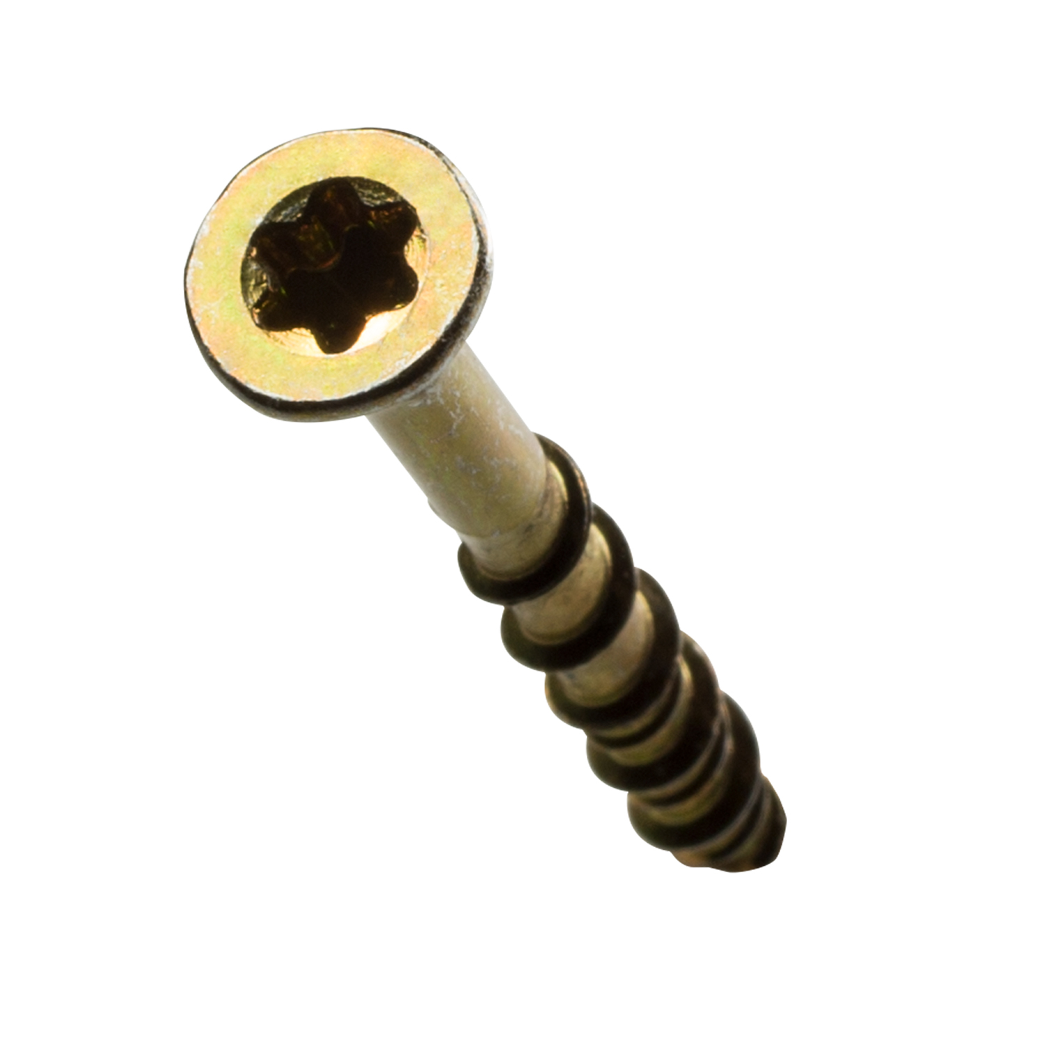 BOTTOM VIEW_IMAGE