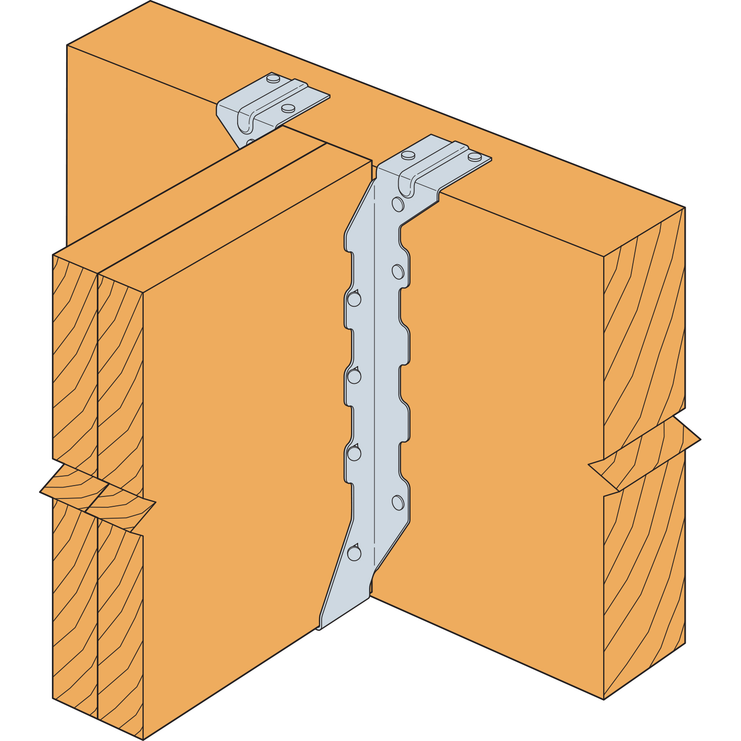 DETAILED PRODUCT VIEW 2_IMAGE