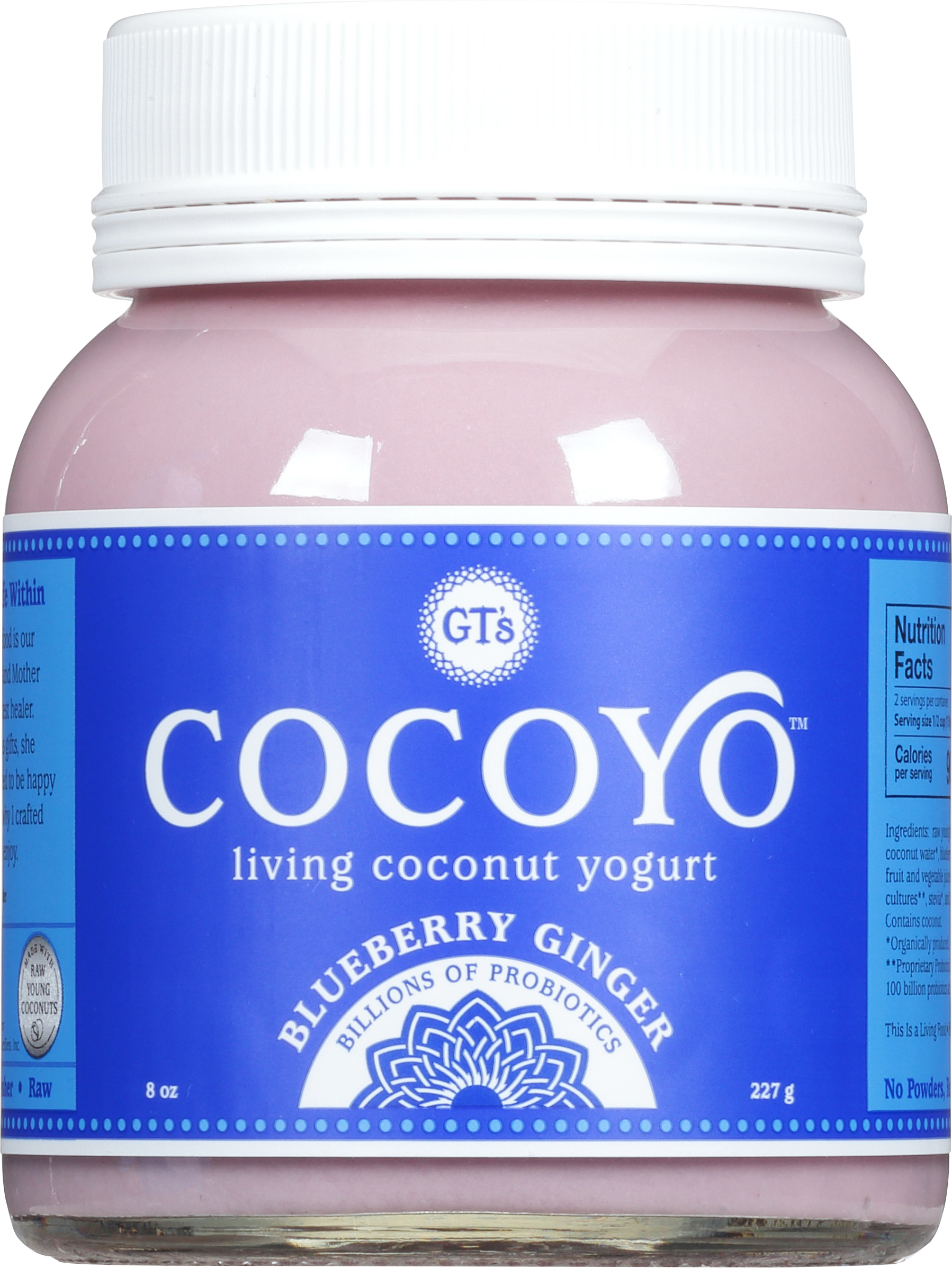 Yogurt, Living Coconut, Blueberry Ginger