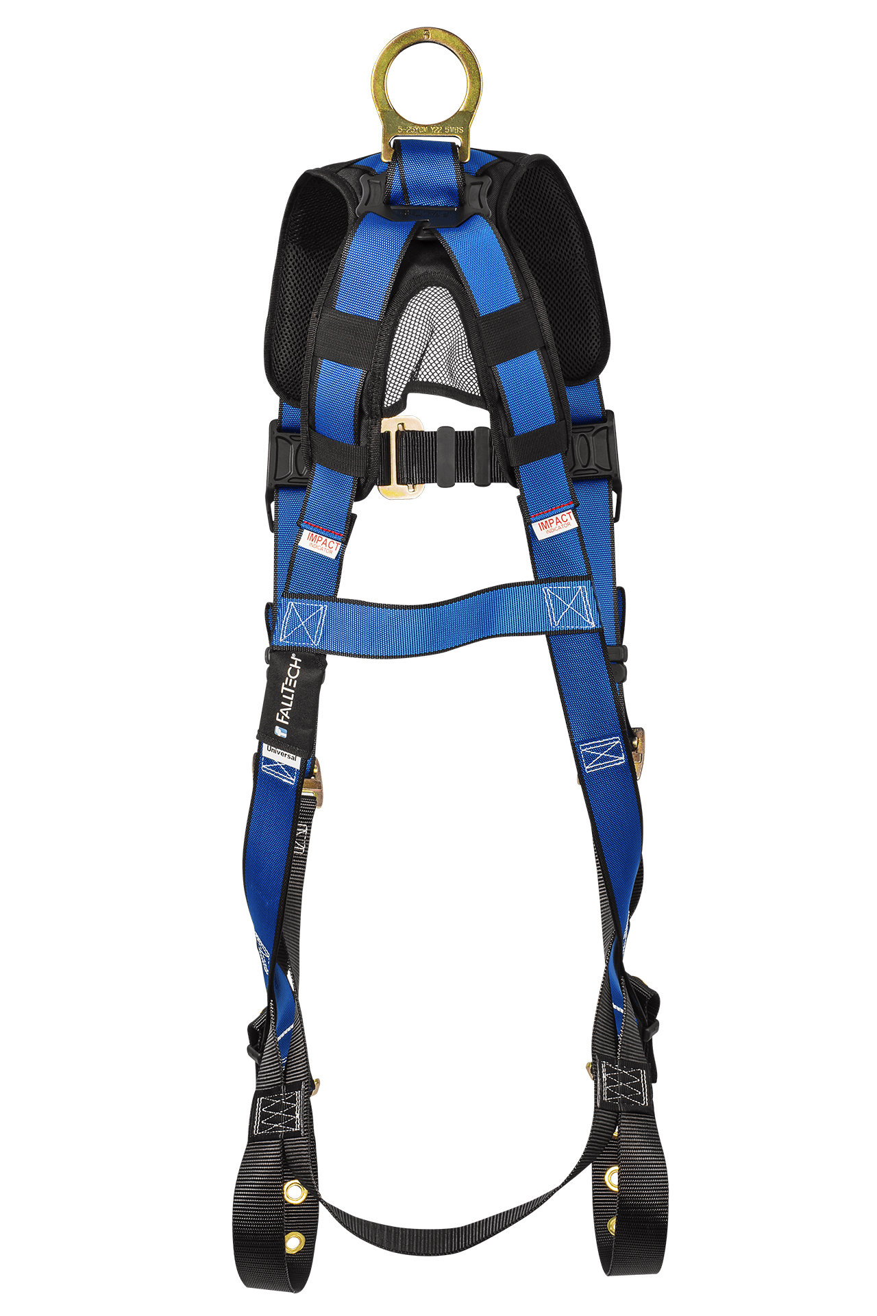 BACK VIEW_IMAGE