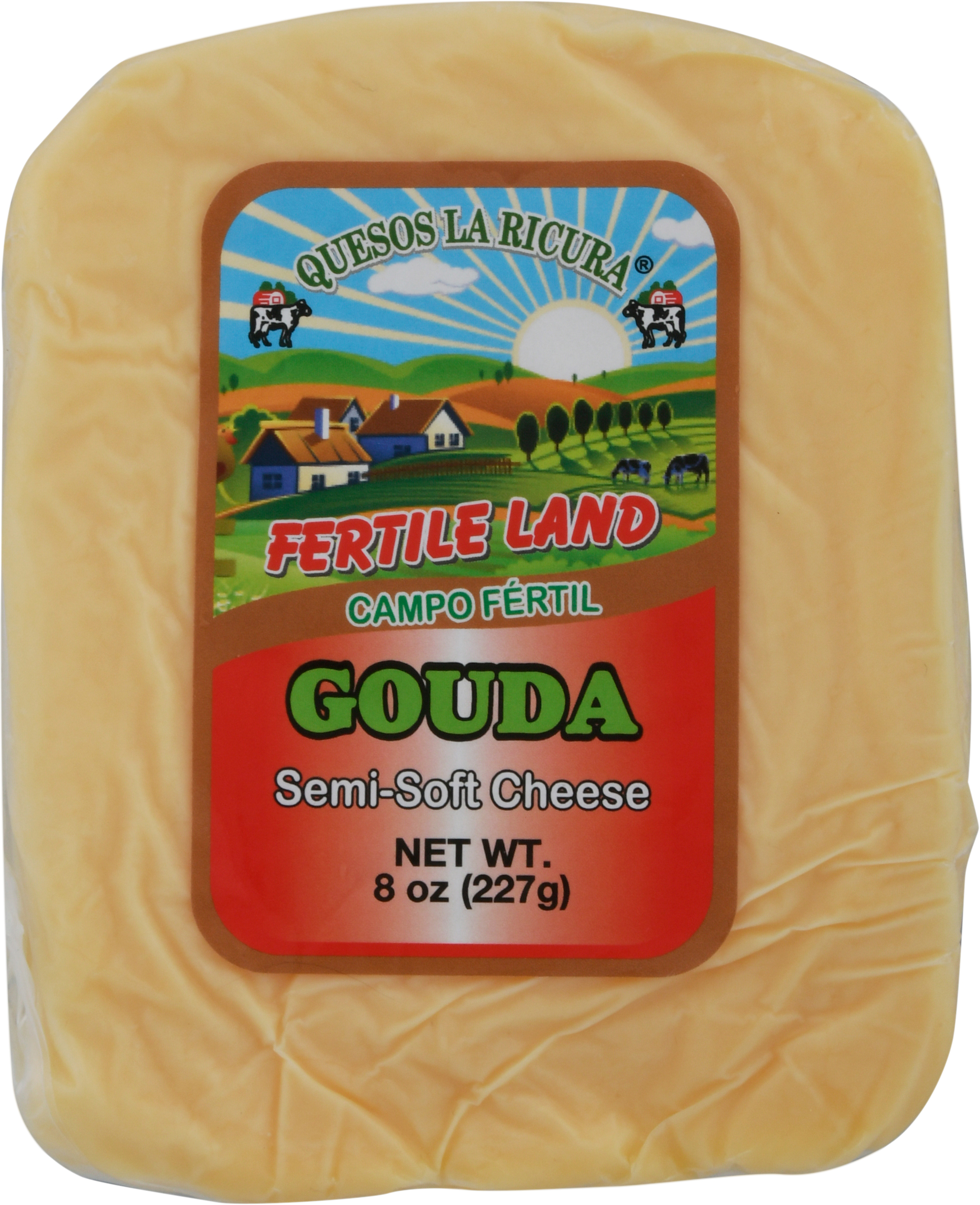 Cheese, Semi-Soft, Gouda