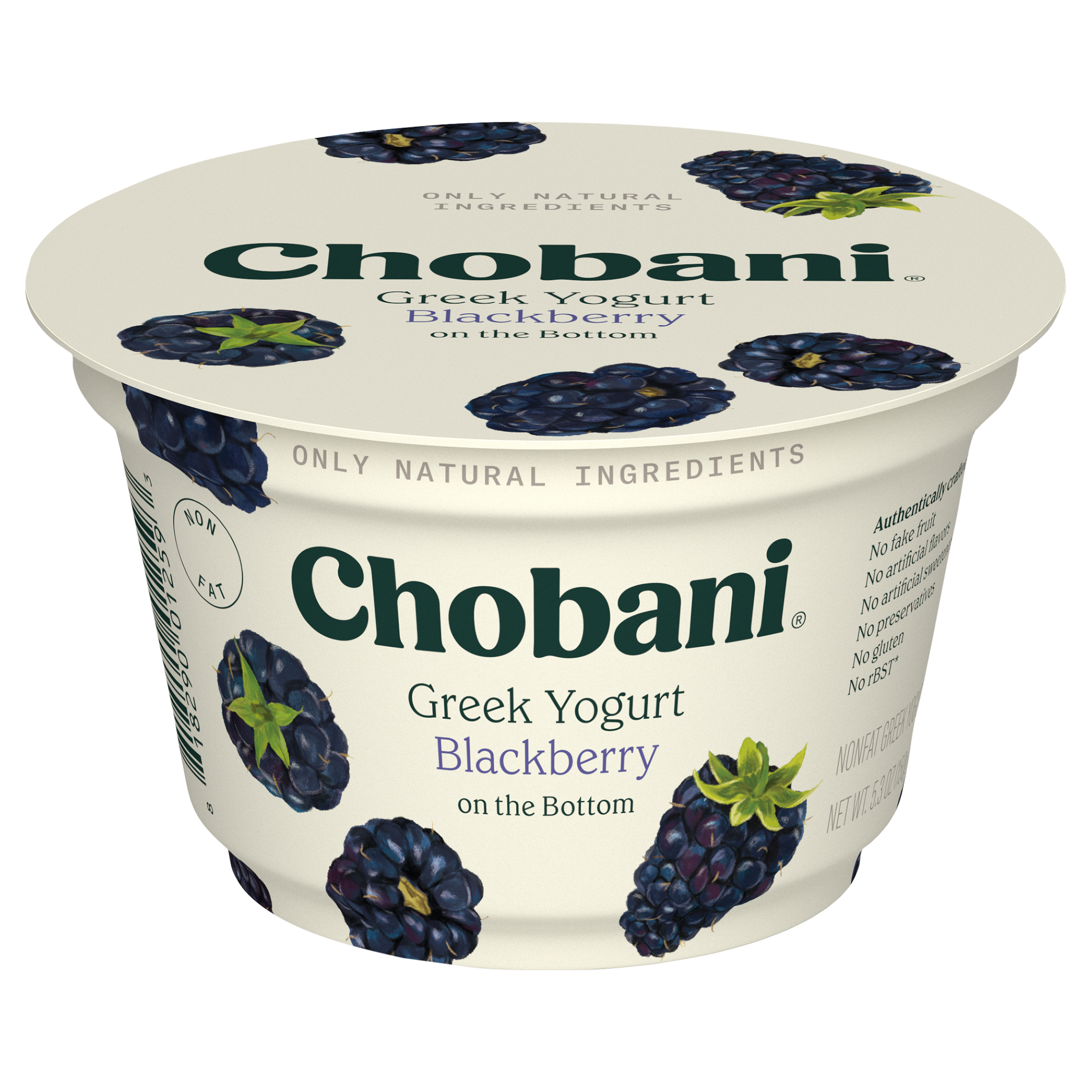 Yogurt, Nonfat, Greek, Blackberry on the Bottom