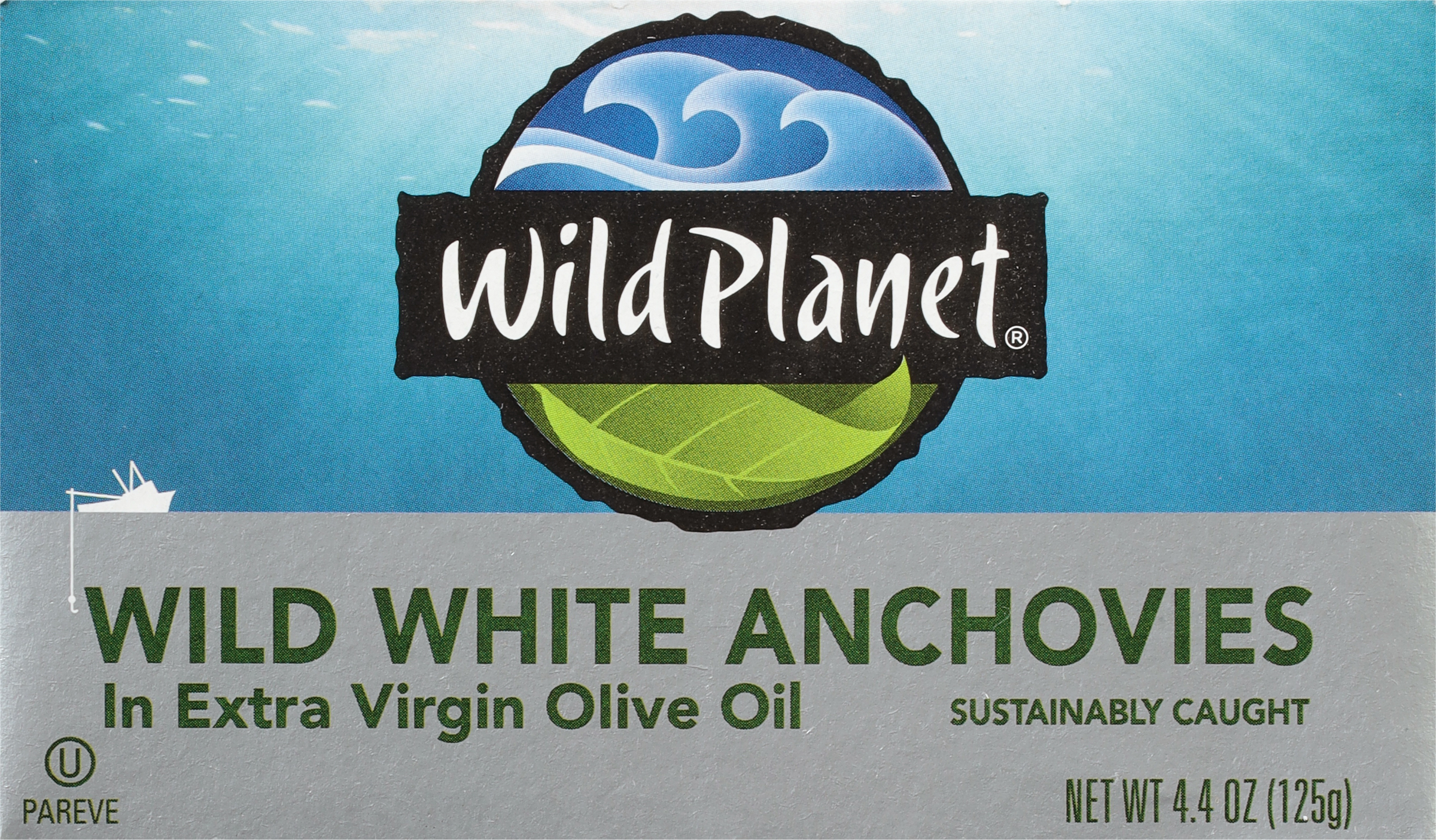Wild White Anchovies