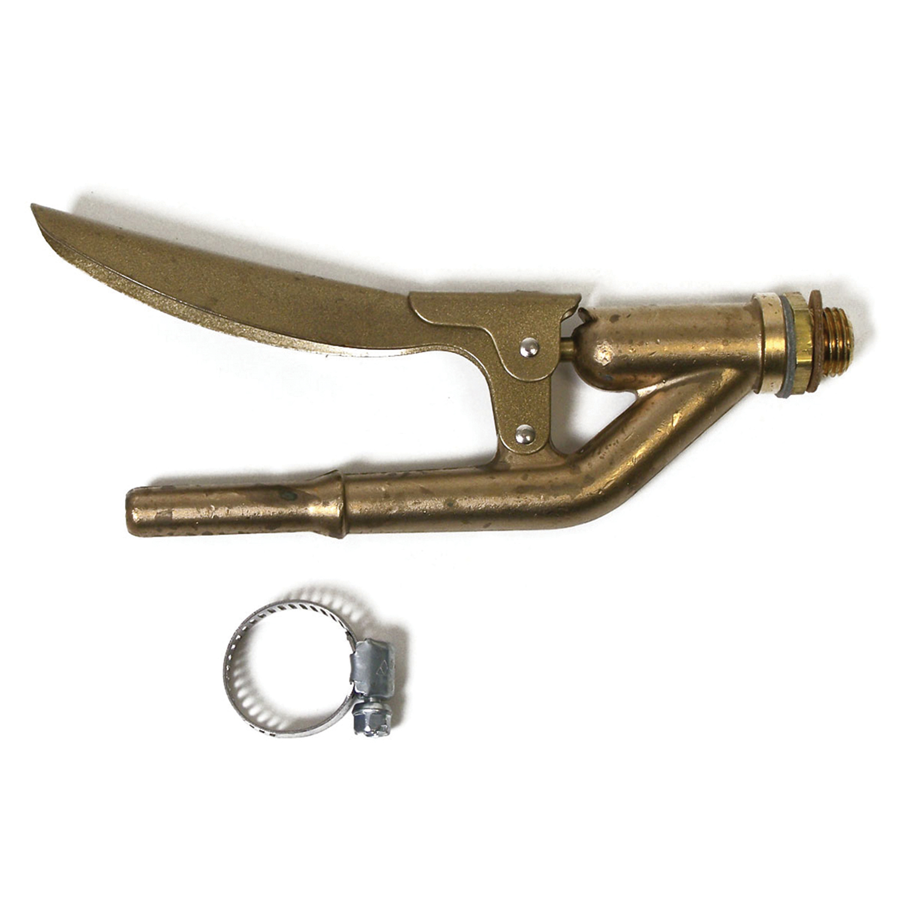 MAIN_IMAGE