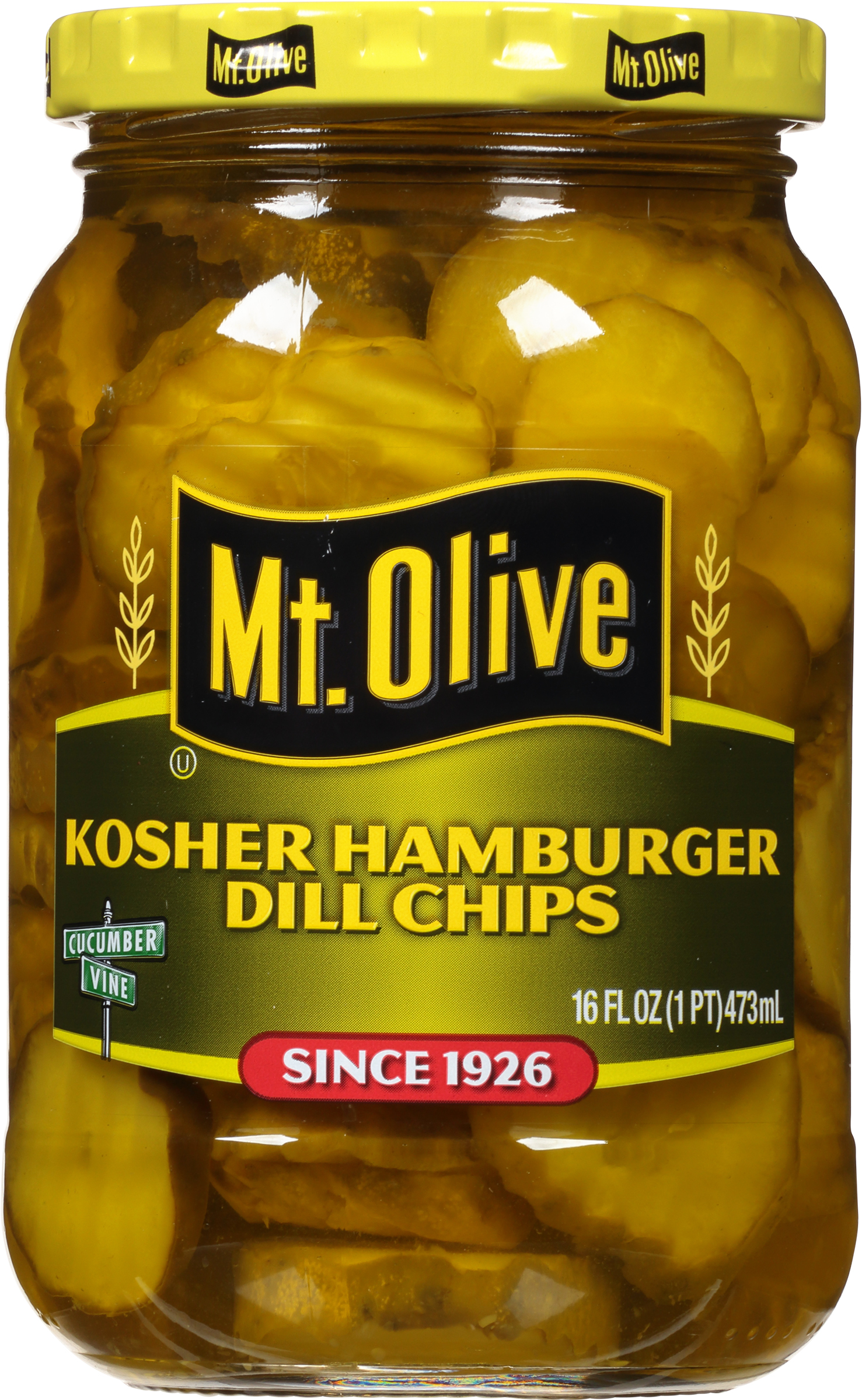 Pickles, Kosher Hamburger Dill Chips