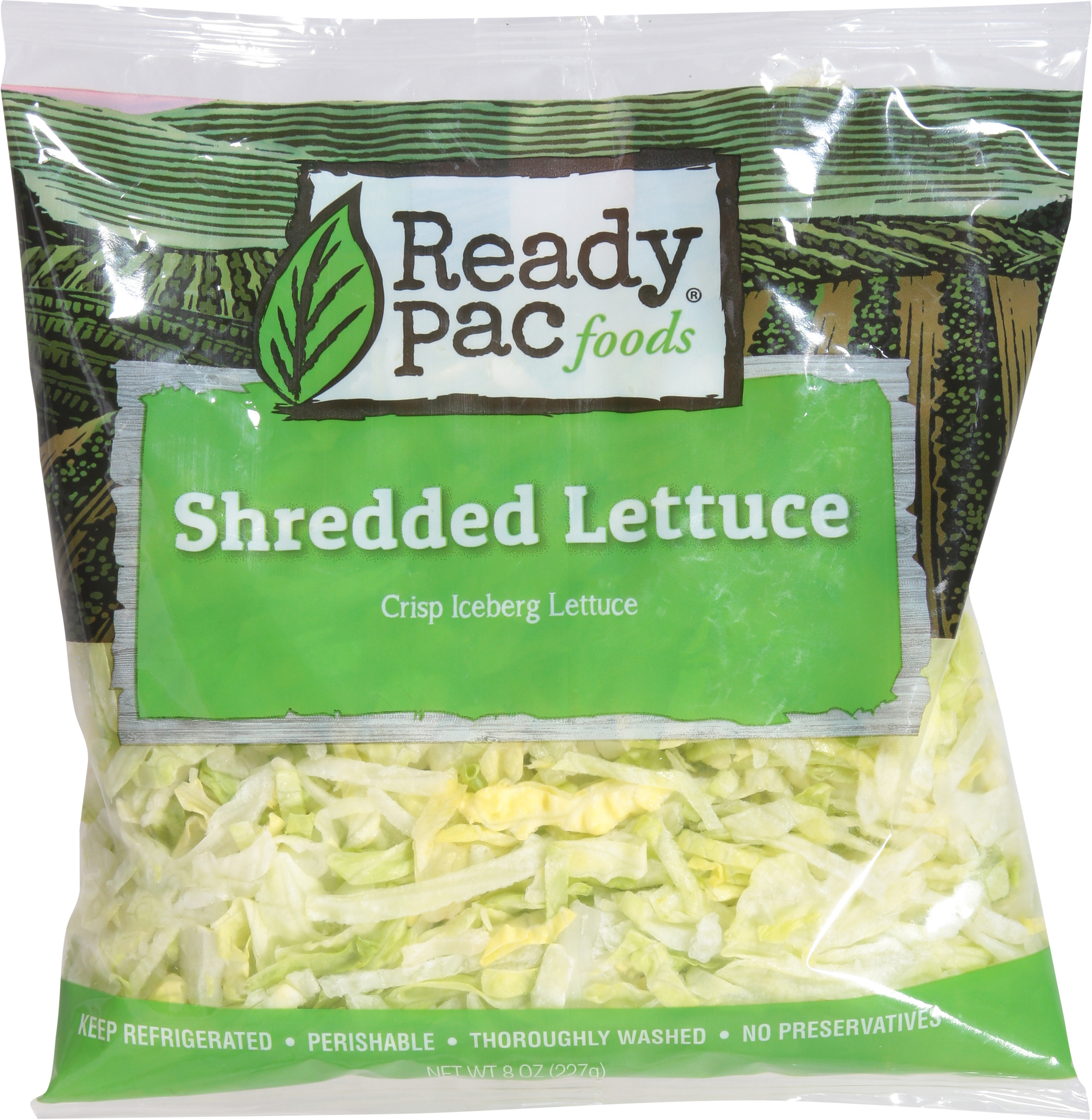 Shredded Lettuce