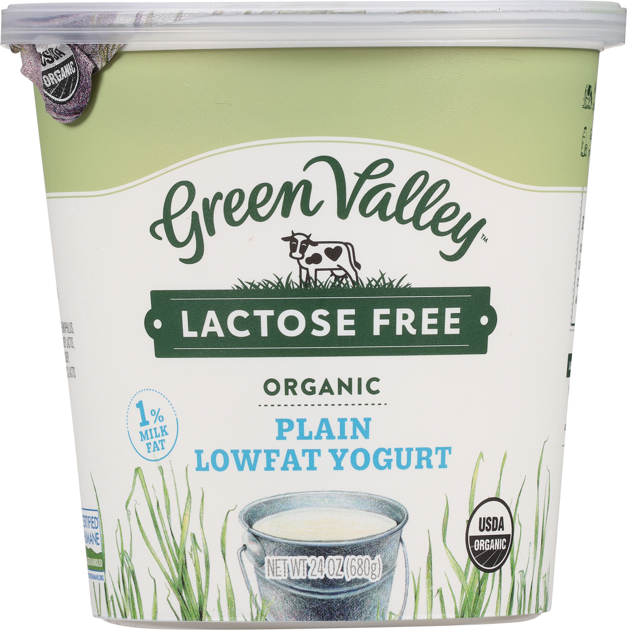 Yogurt, Organic, Lowfat, Lactose Free, Plain