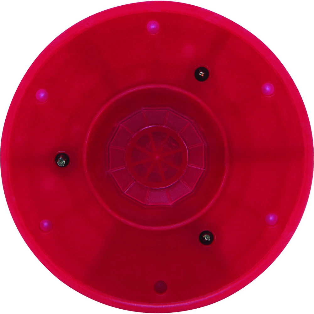 DETAILED PRODUCT VIEW 2_IMAGE