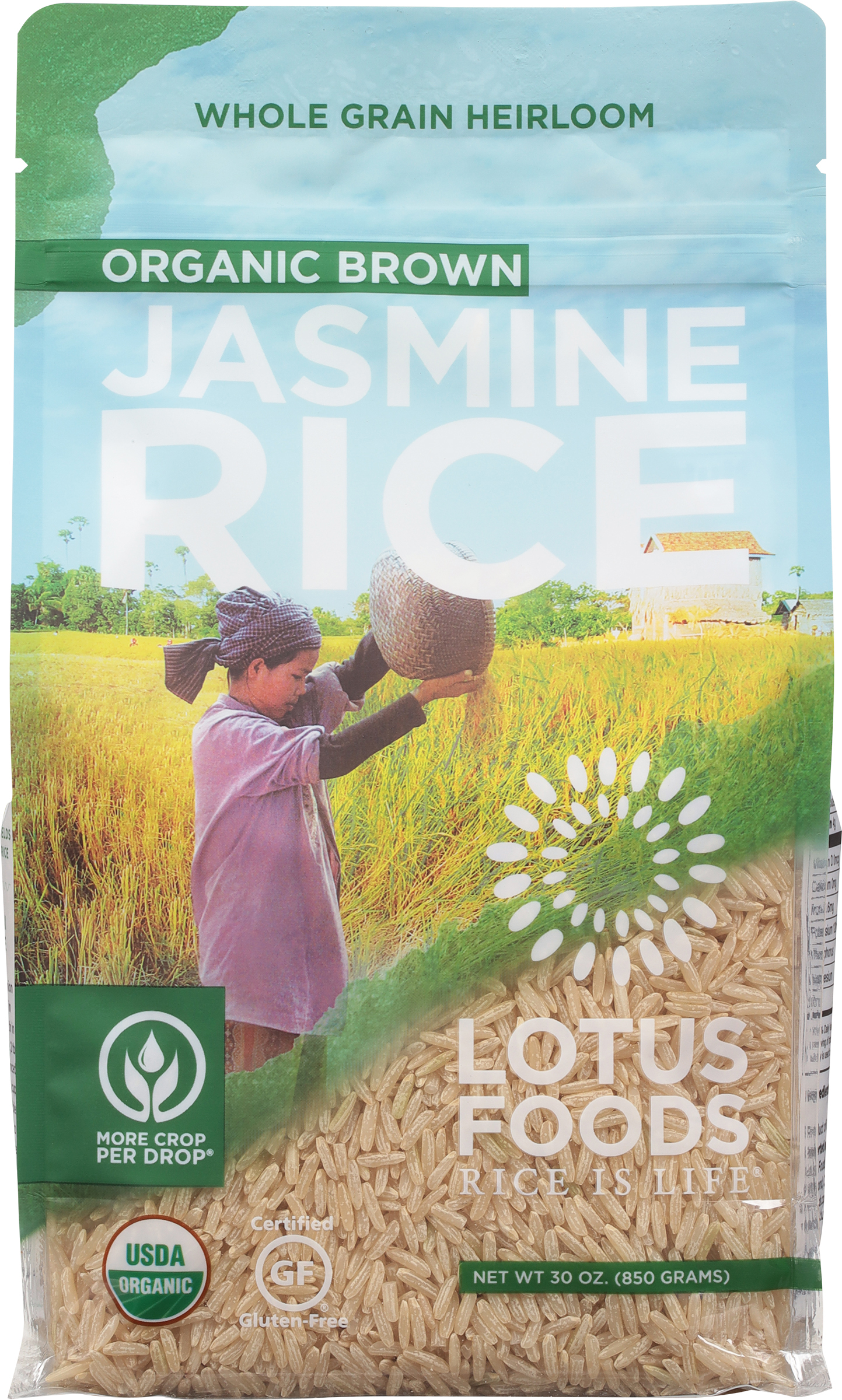 Jasmine Rice, Organic Brown