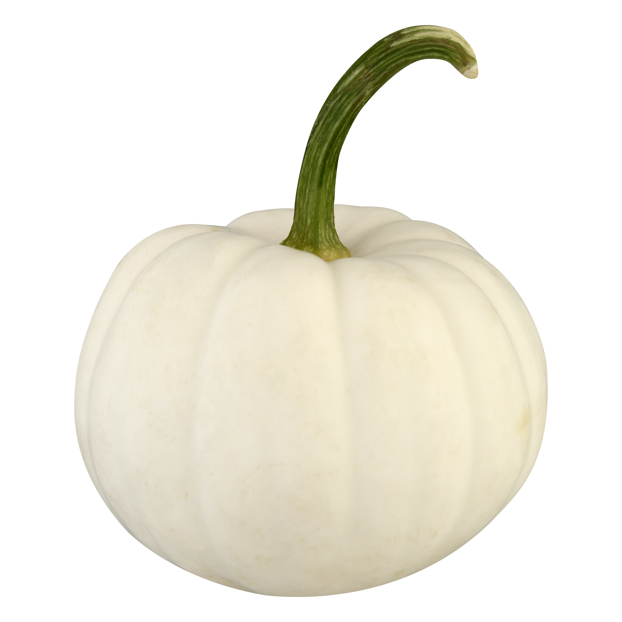 Bay Baby Produce Casper Pumpkin 1 Ea