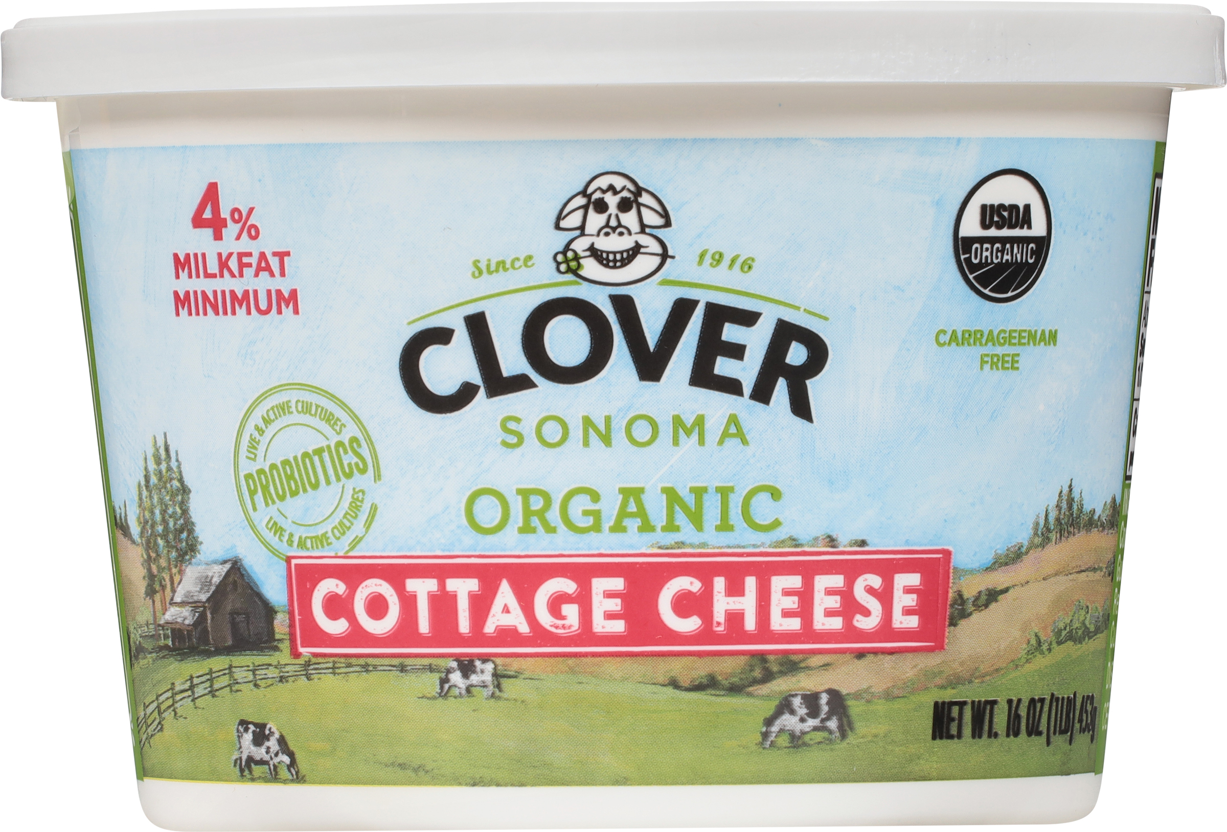 Cottage Cheese, Organic