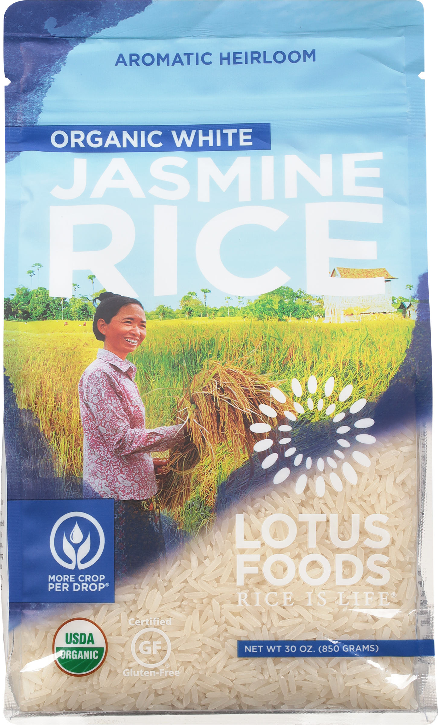 Jasmine Rice, Organic White