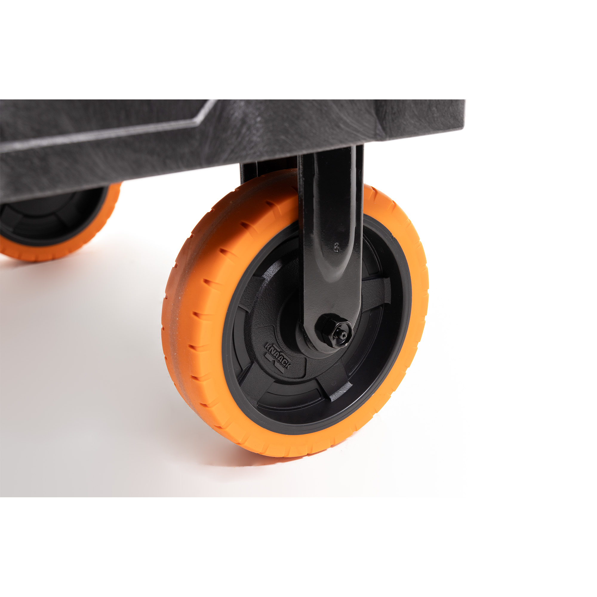 BOTTOM VIEW_IMAGE