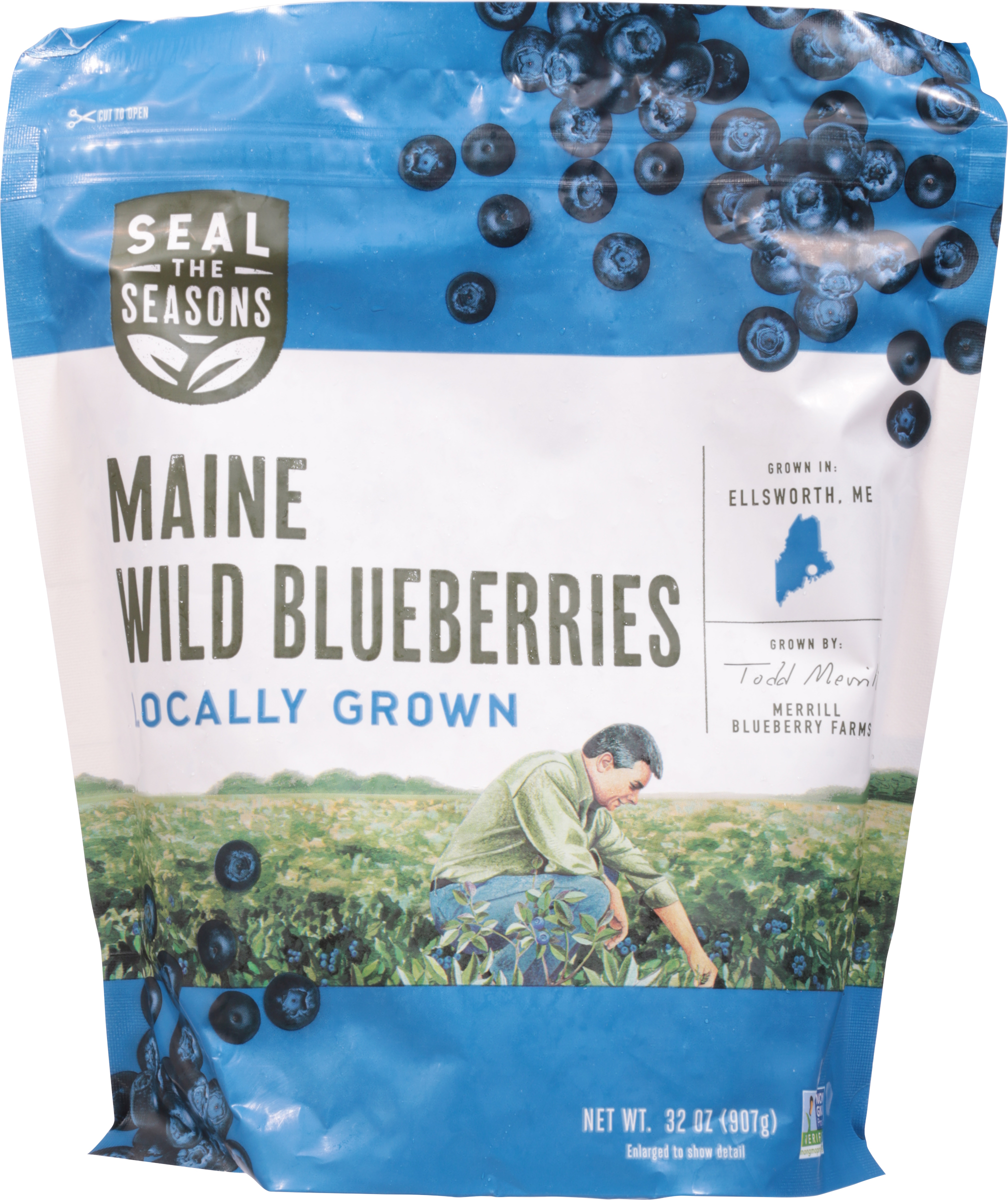 Wild Blueberries, Maine