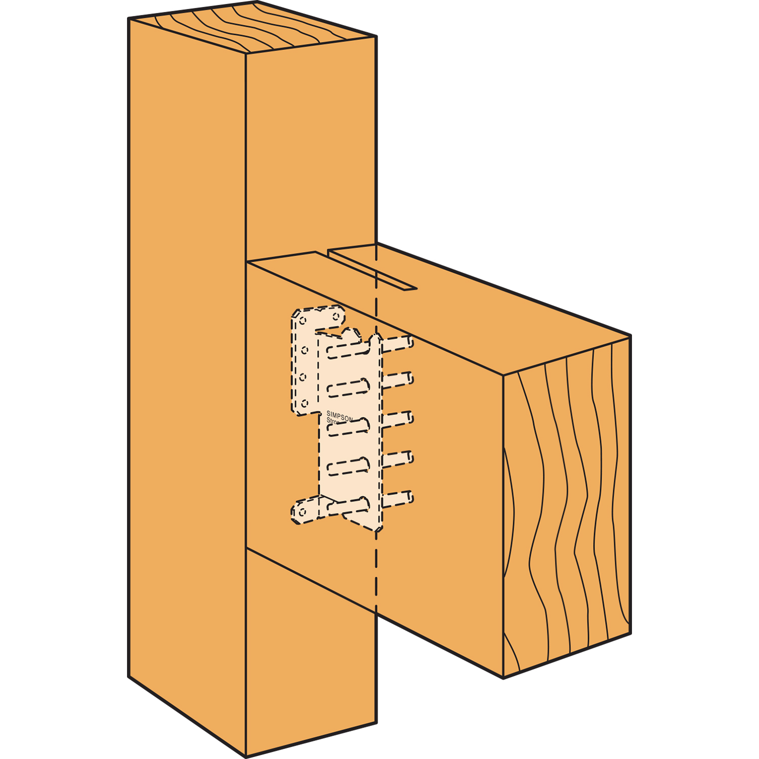 ALTERNATE_IMAGE