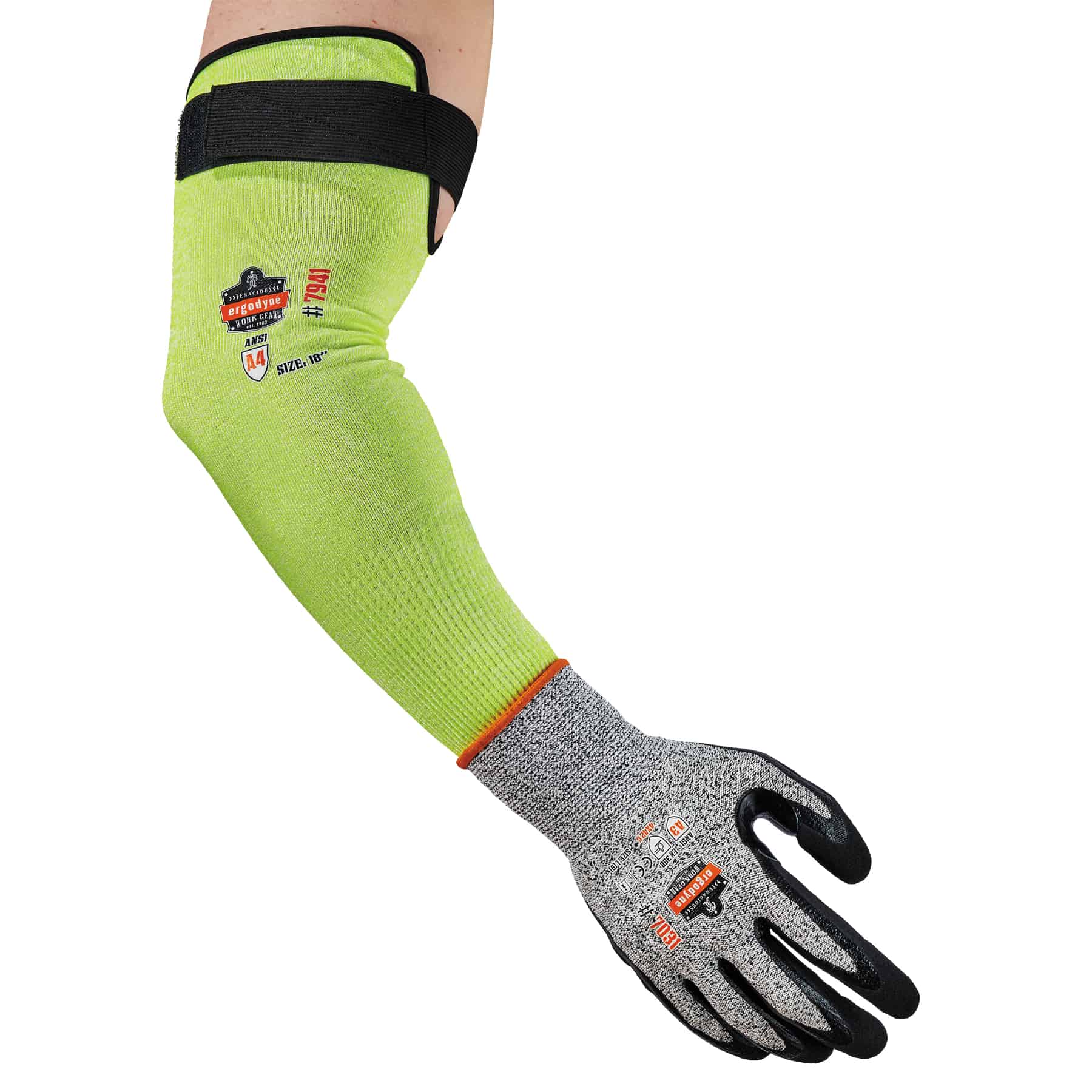 DETAILED PRODUCT VIEW 3_IMAGE