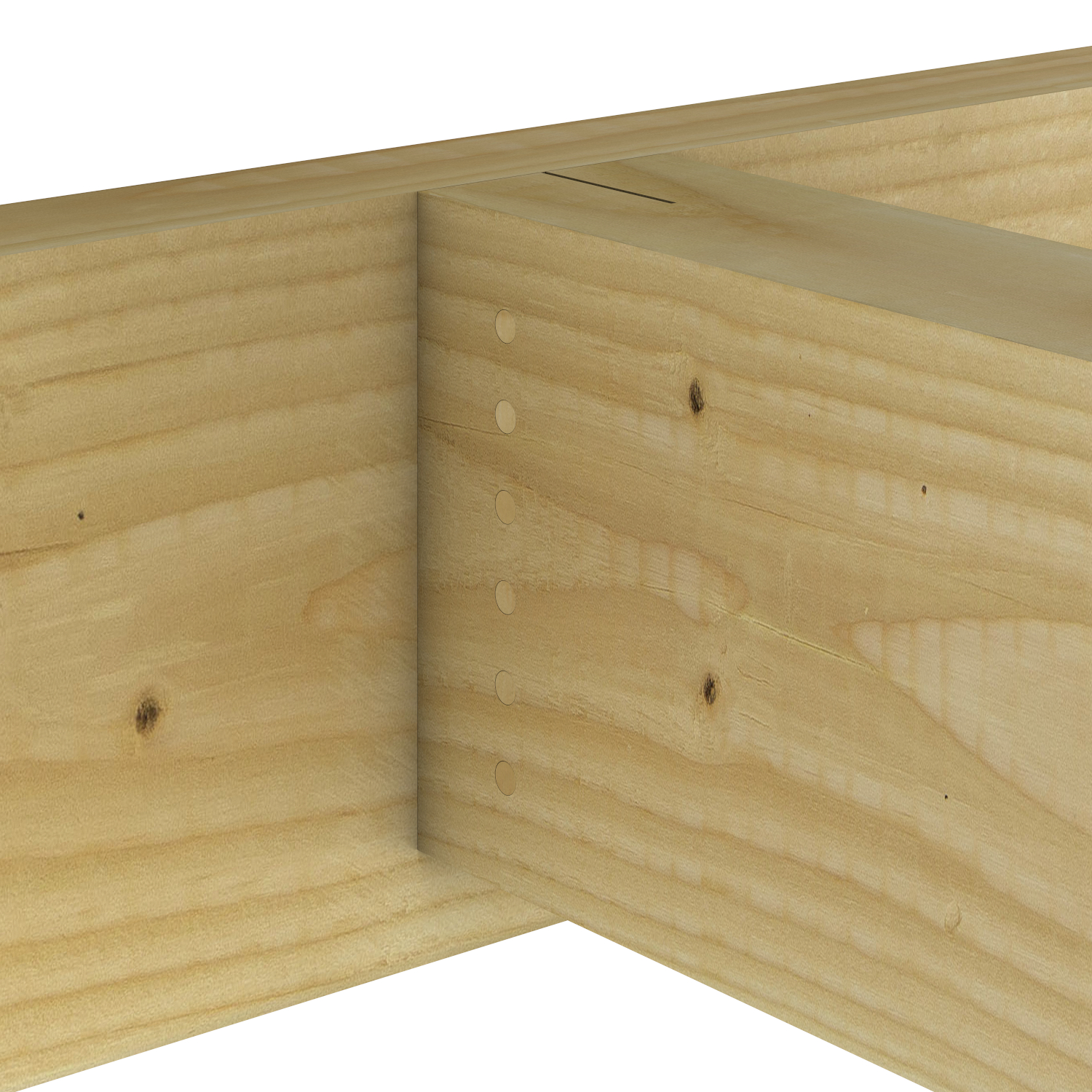 BOTTOM VIEW_IMAGE