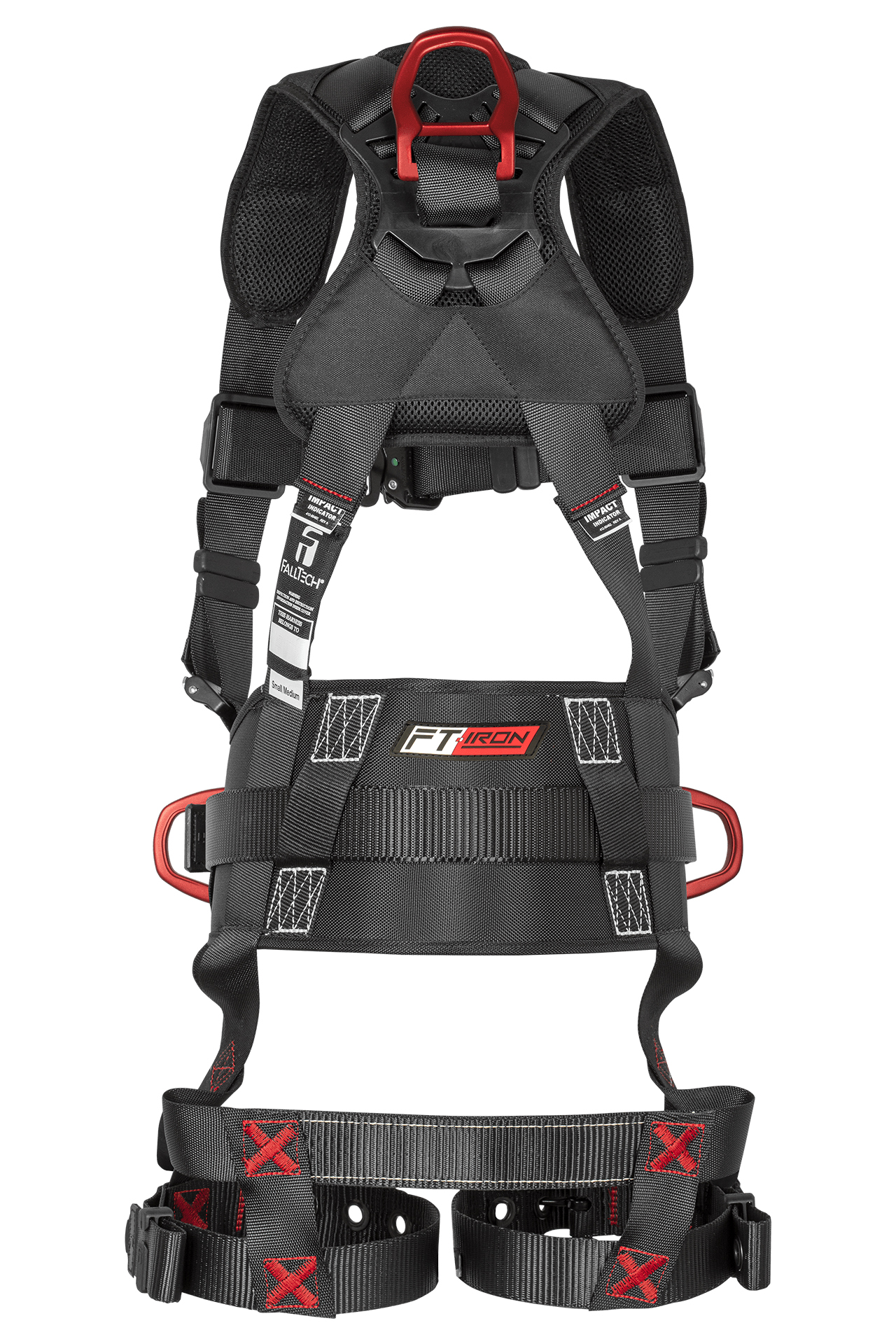 BACK VIEW_IMAGE