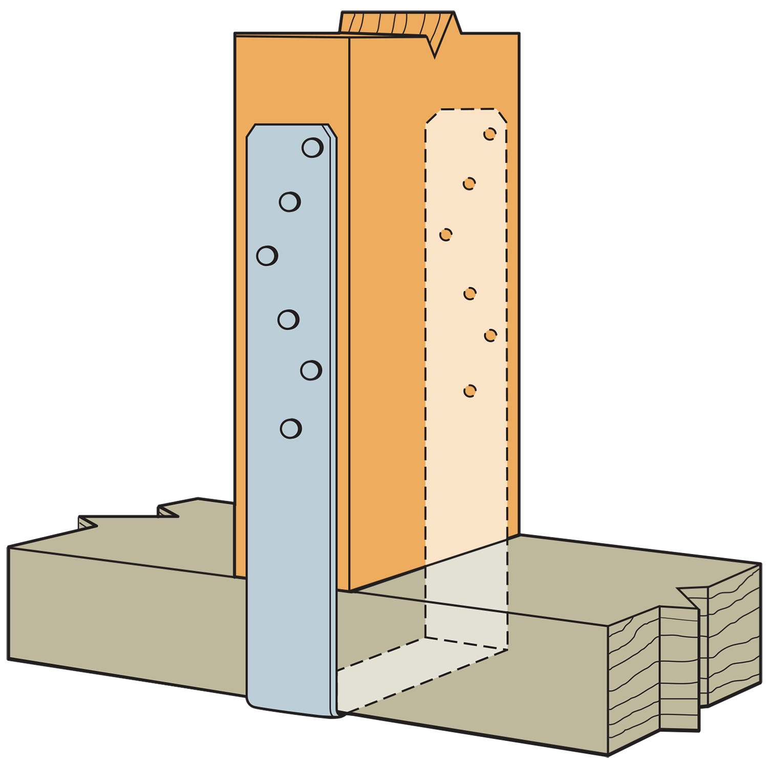 ALTERNATE_IMAGE
