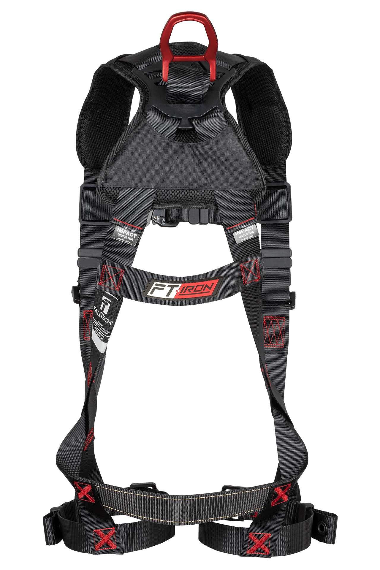 BACK VIEW_IMAGE
