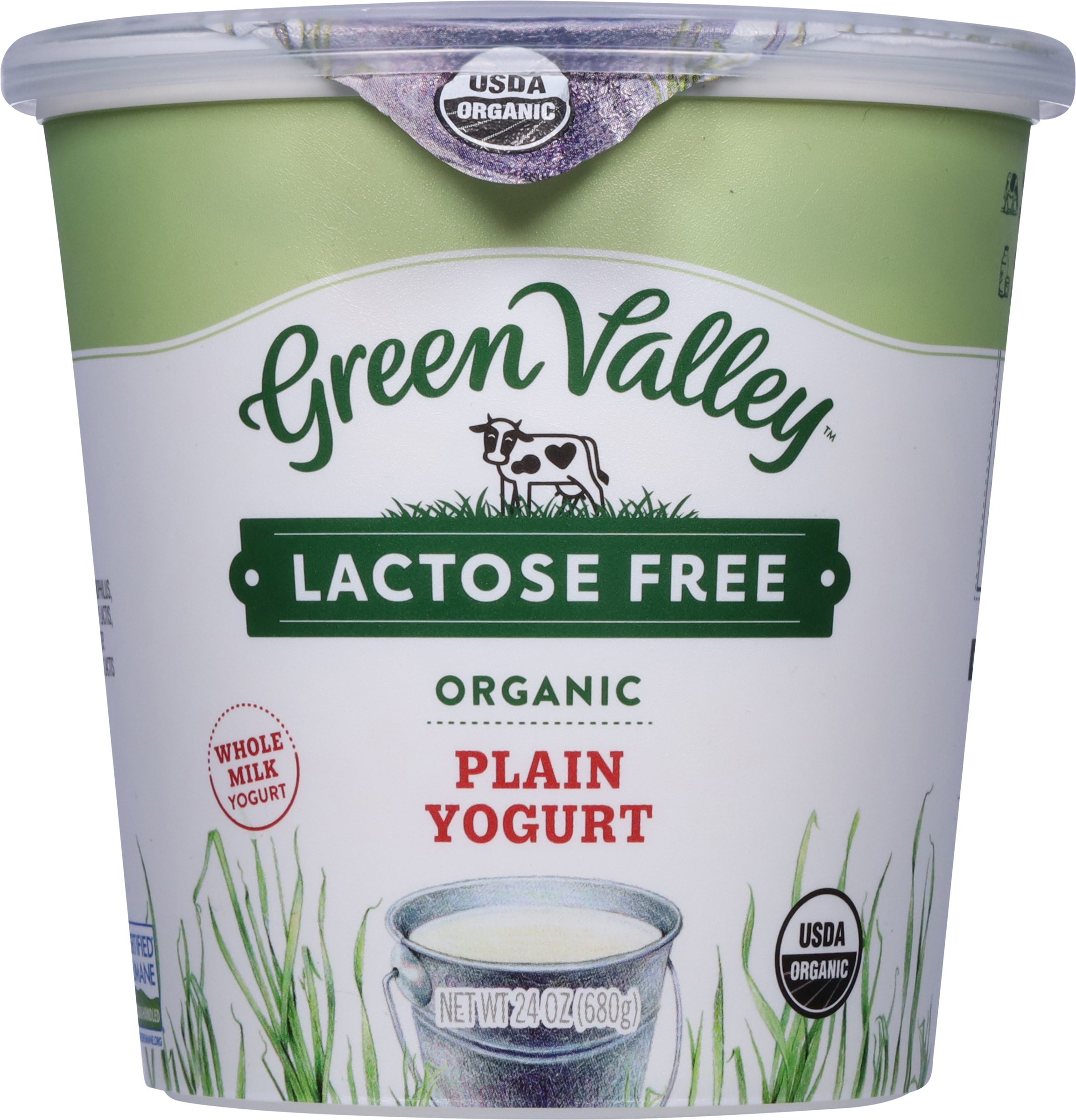 Yogurt, Lactose Free, Organic, Plain