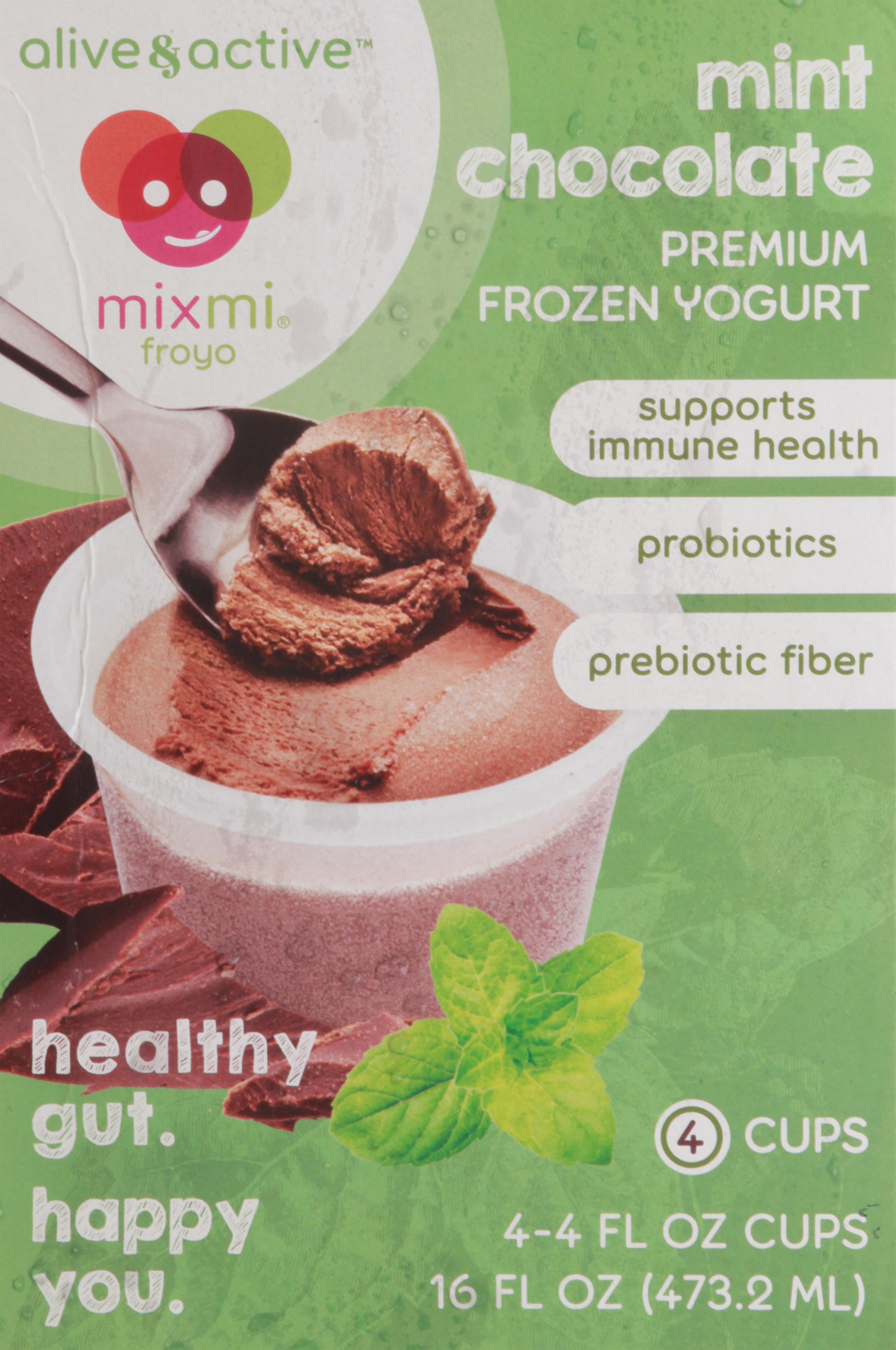 Frozen Yogurt, Premium, Mint Chocolate
