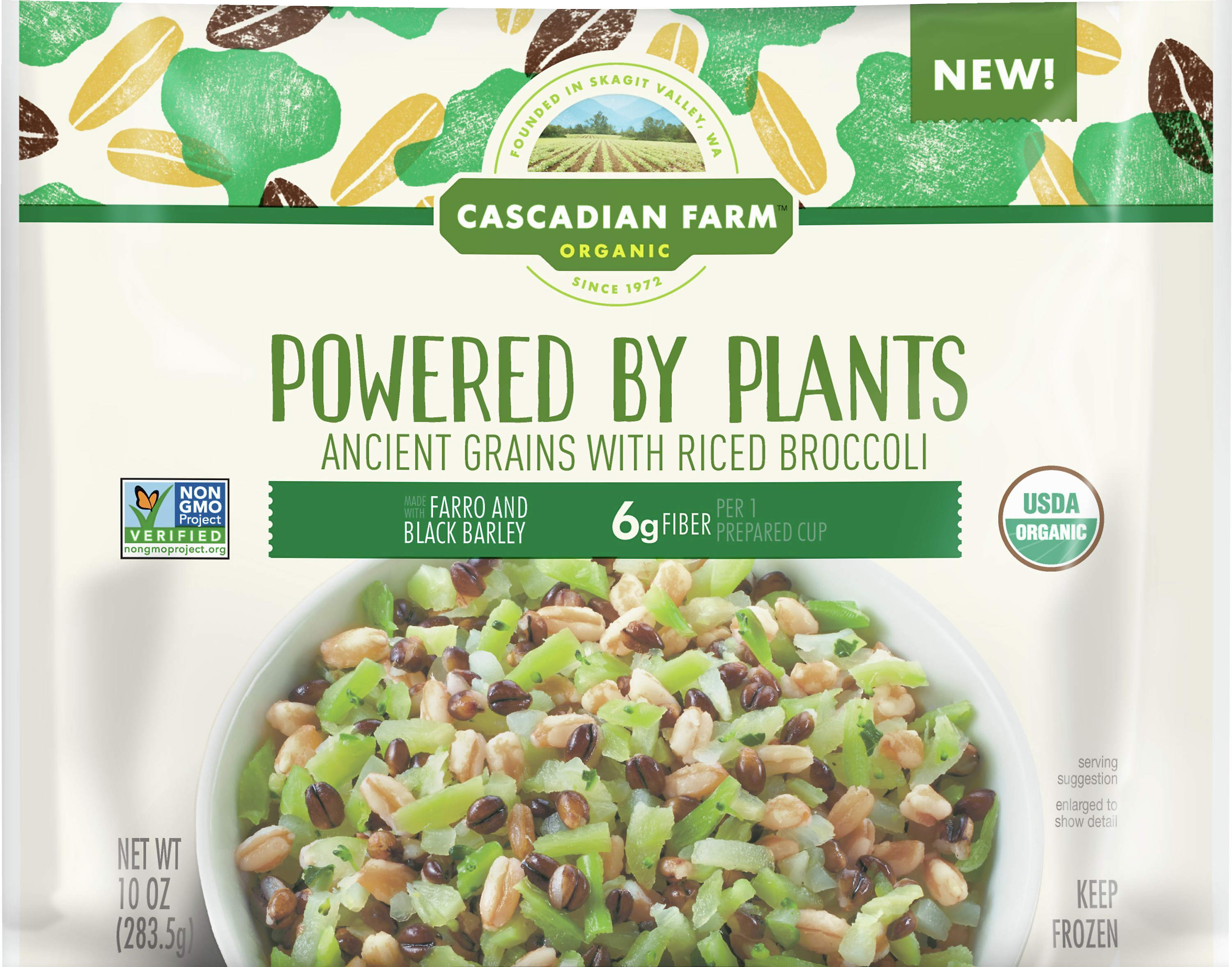 Ancient Grains with Riced Sweet Broccoli, Organic