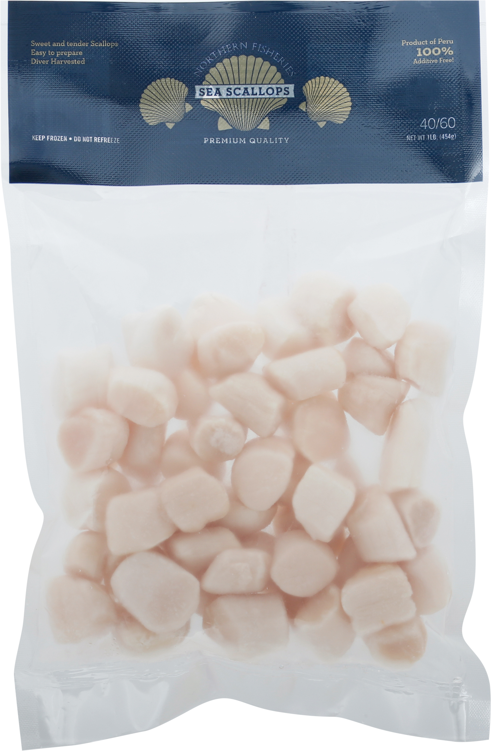 Sea Scallops