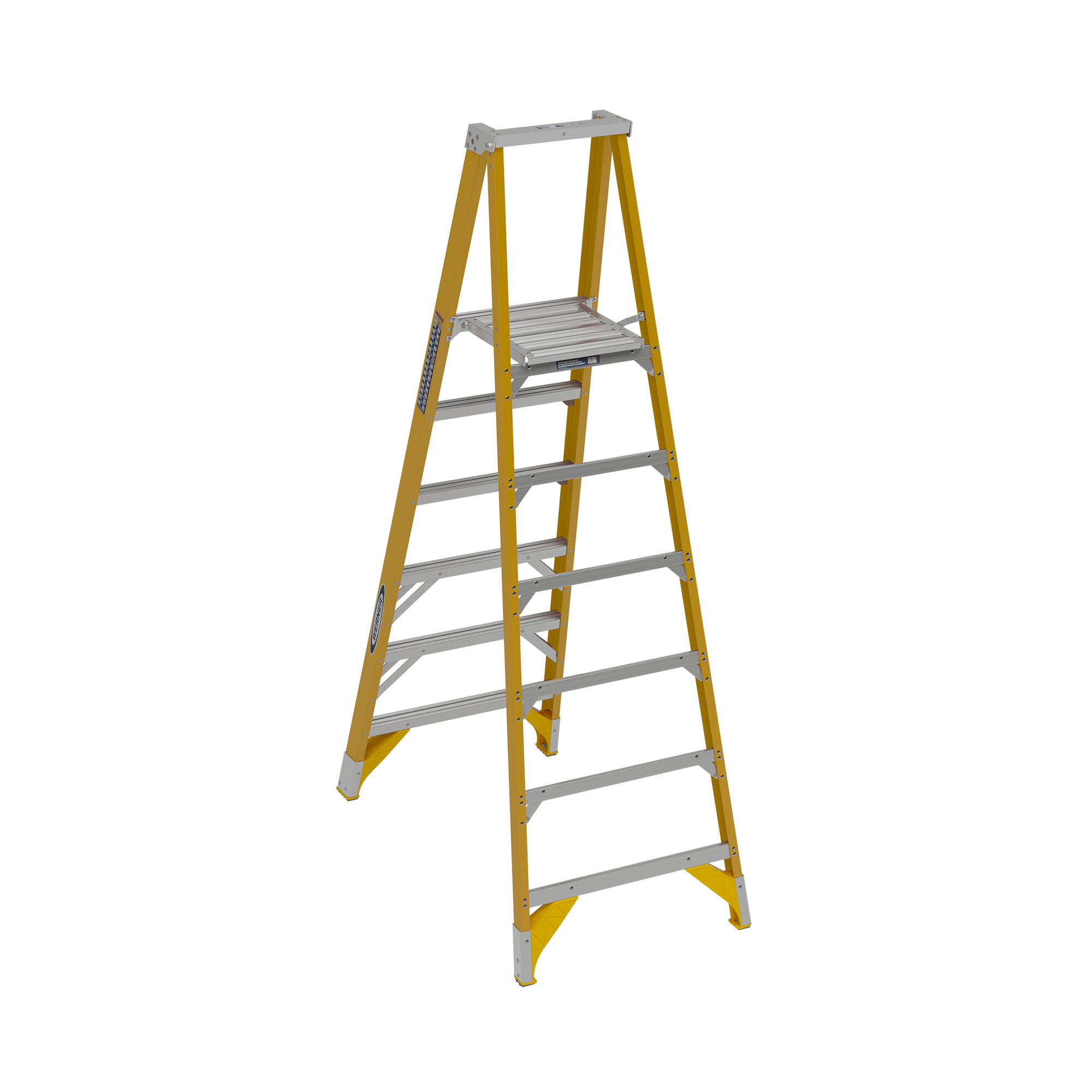BACK VIEW_IMAGE