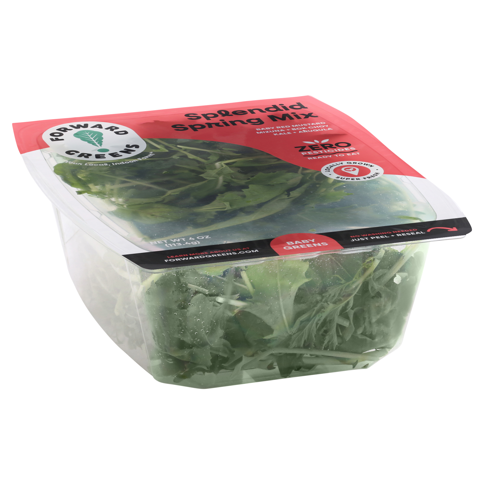 Forward Greens Splendid Spring Mix Baby Greens 4 Oz
